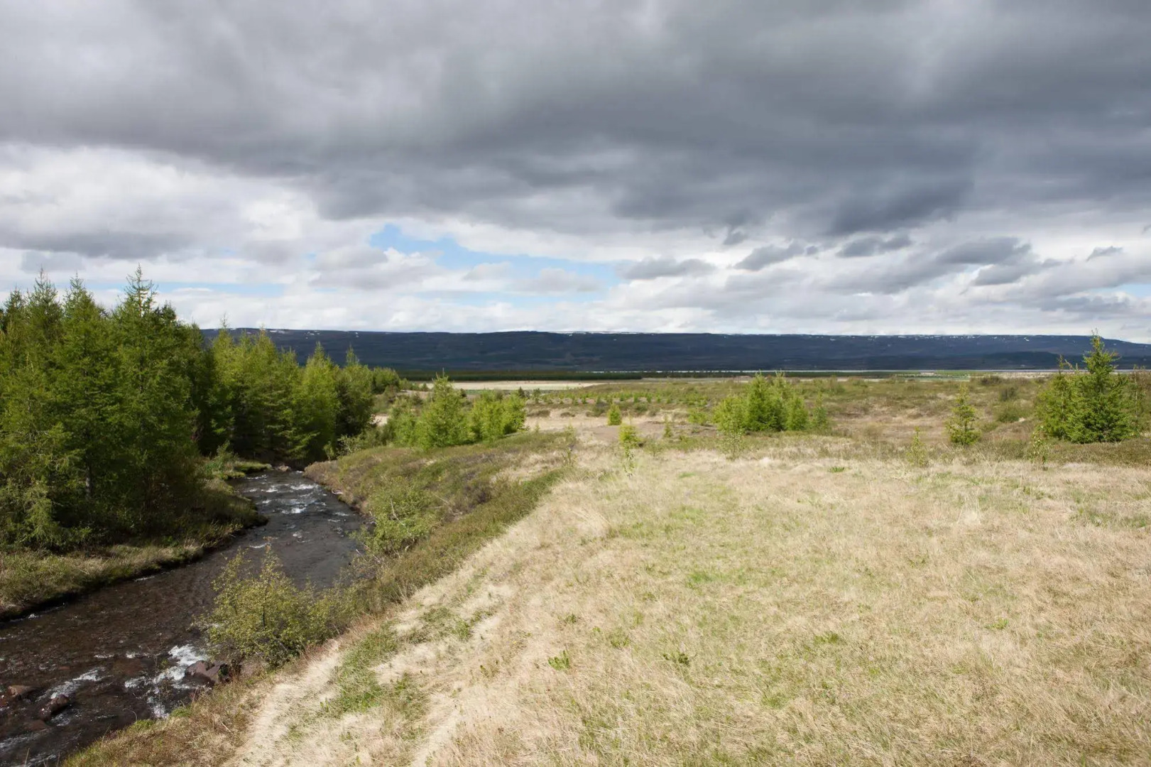 Kaldá Lyngholt Holiday Homes