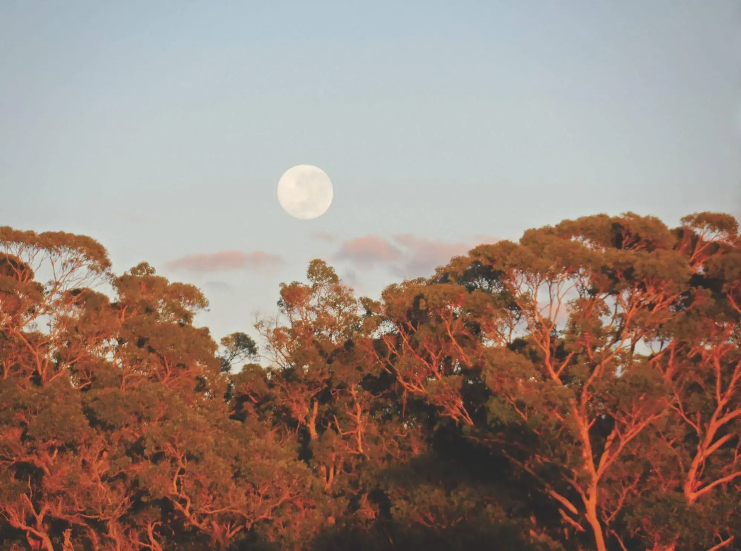 Tennessee Hill Chalets