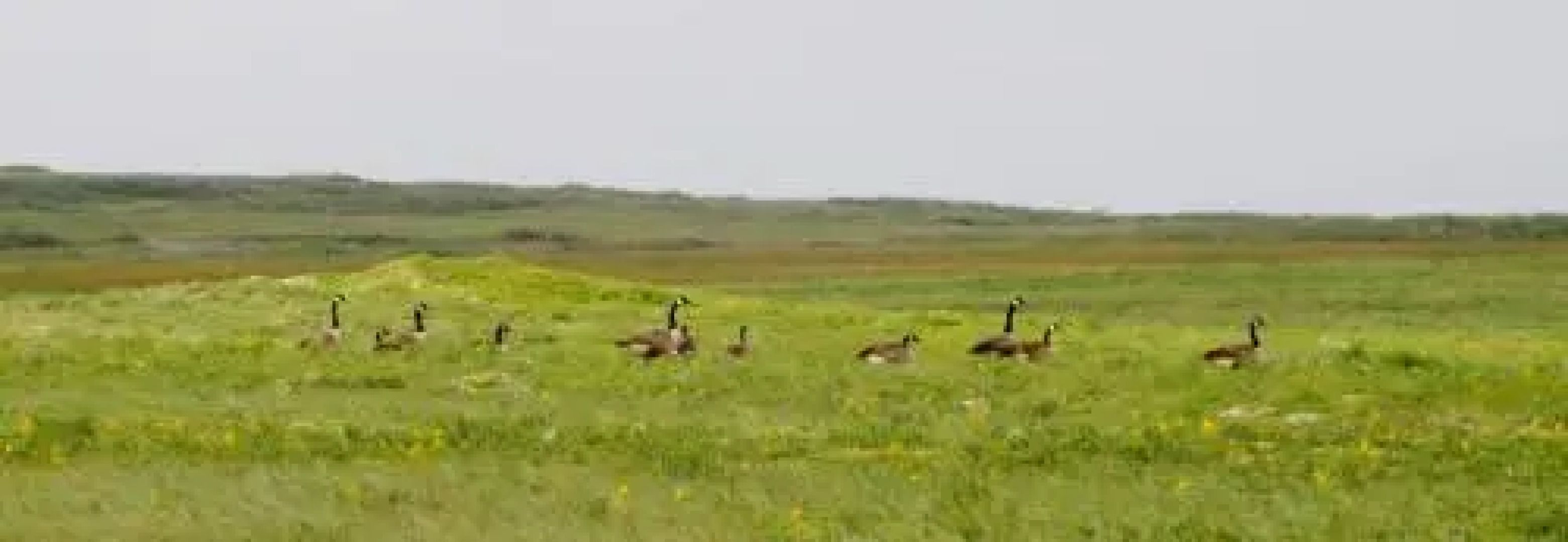 The Convent Guesthouse