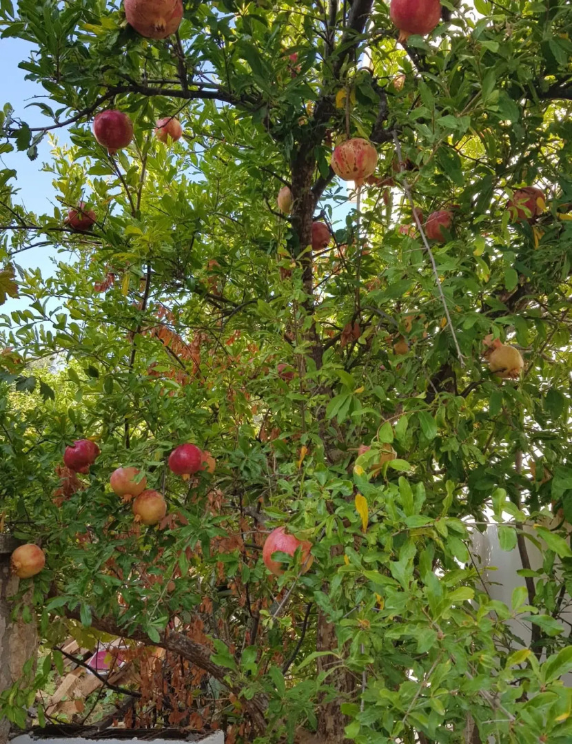 North Wind Hotels Karaburun