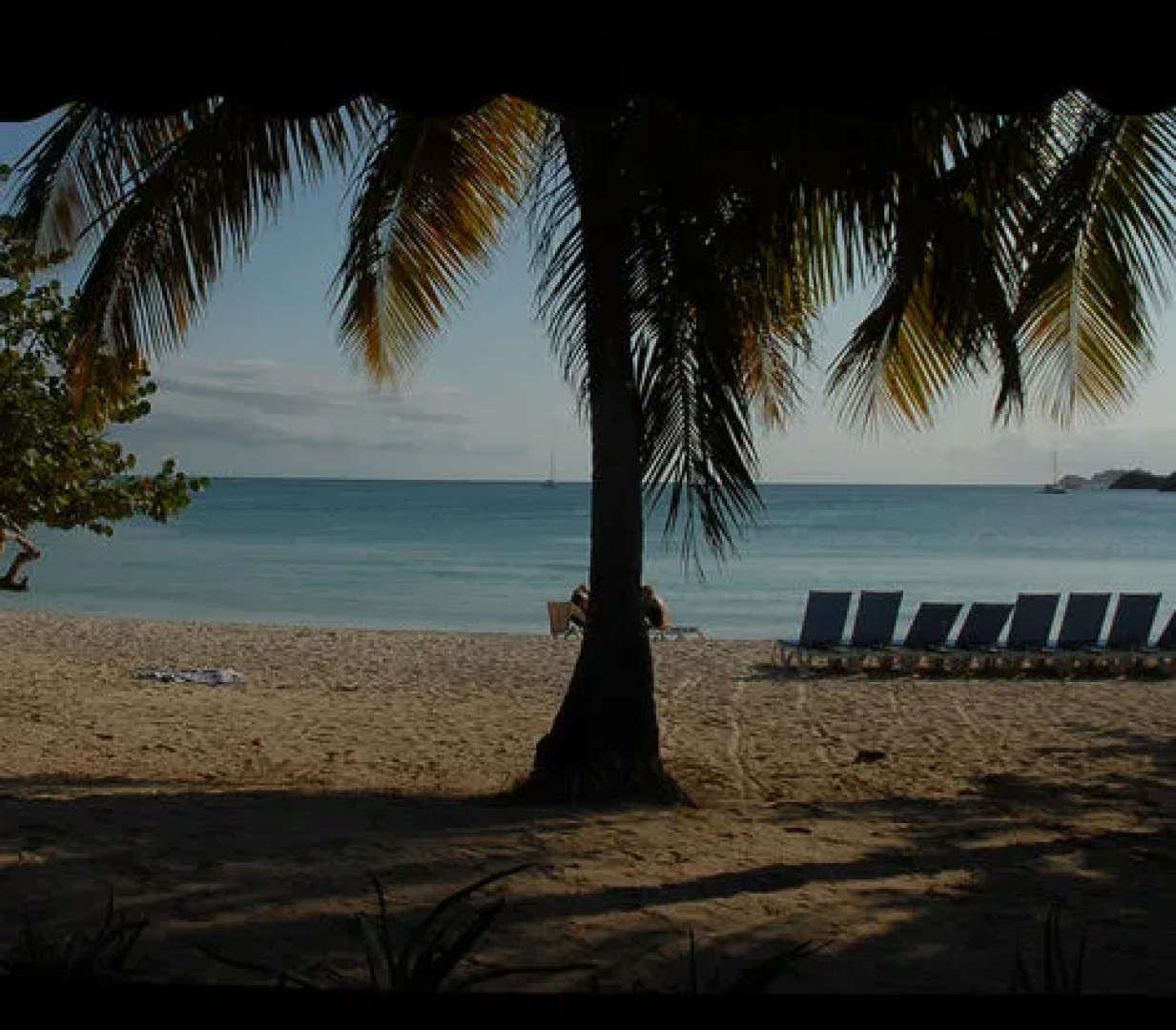 Island Beach Comber