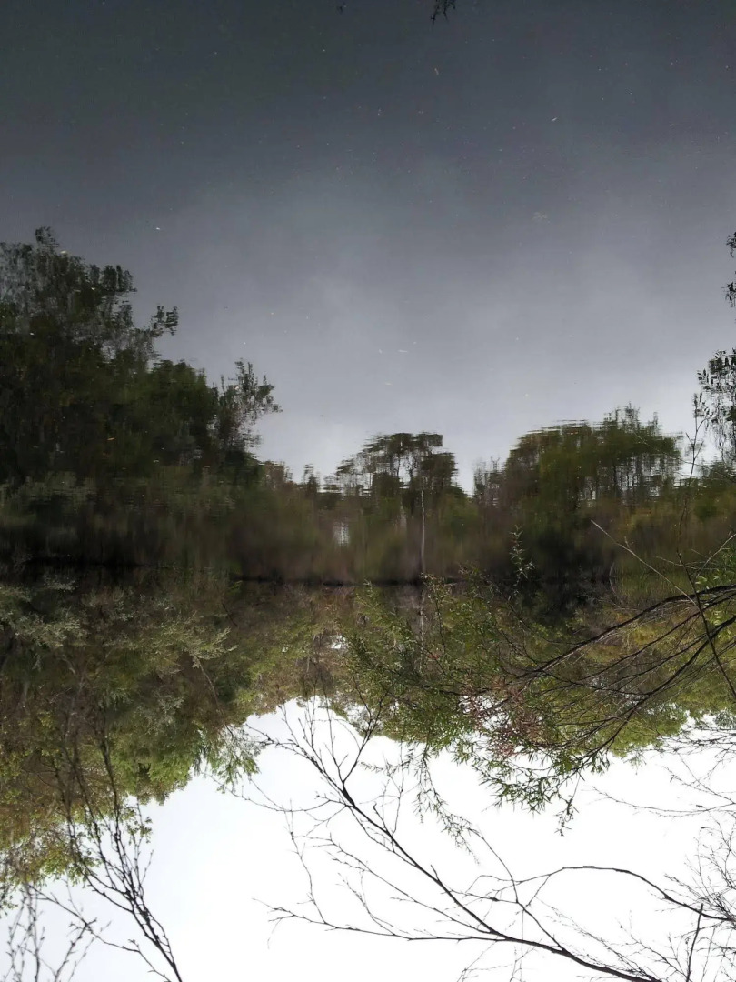 Denmark Forest Retreat