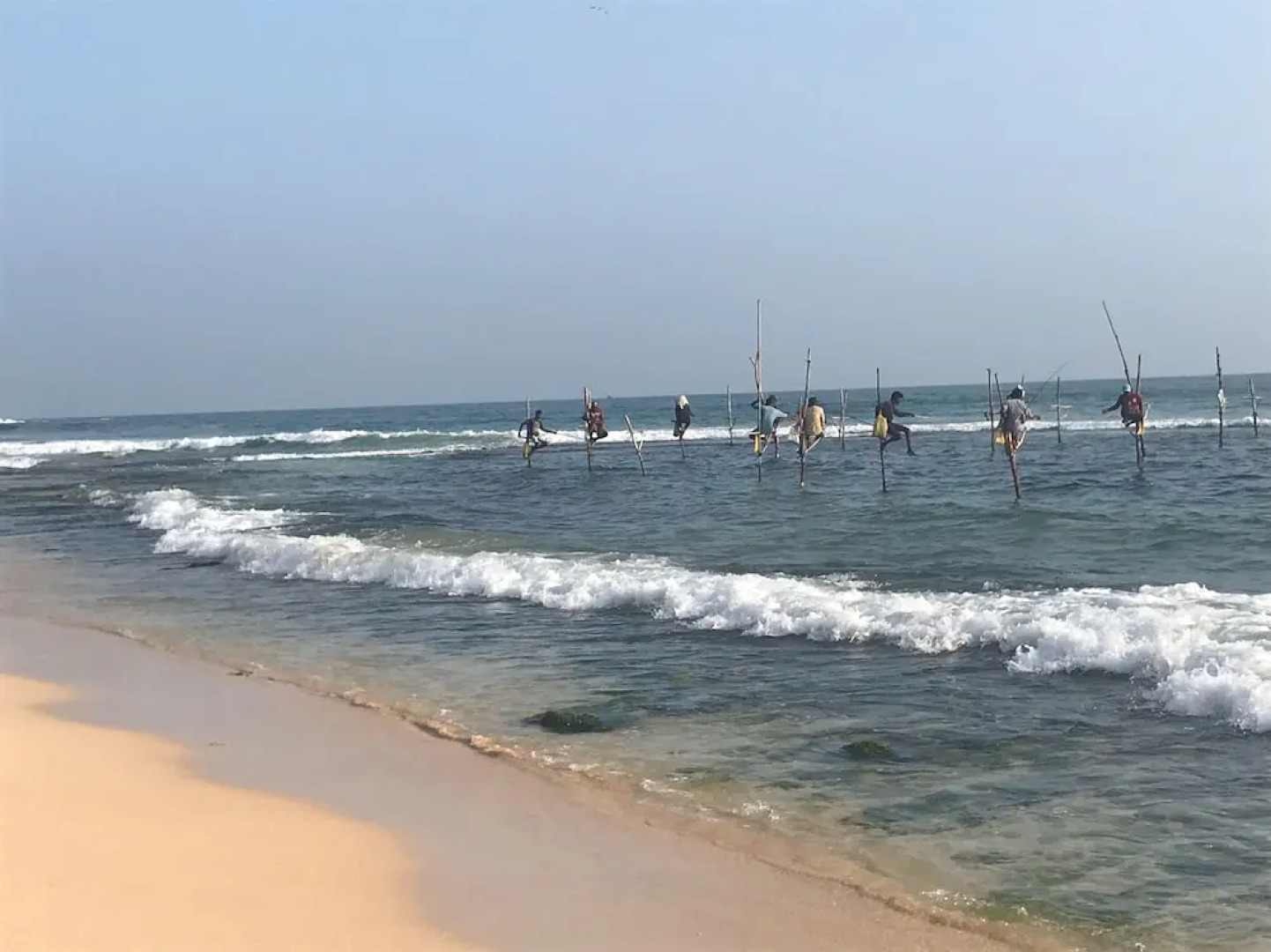 Villa Coconut - Hostel