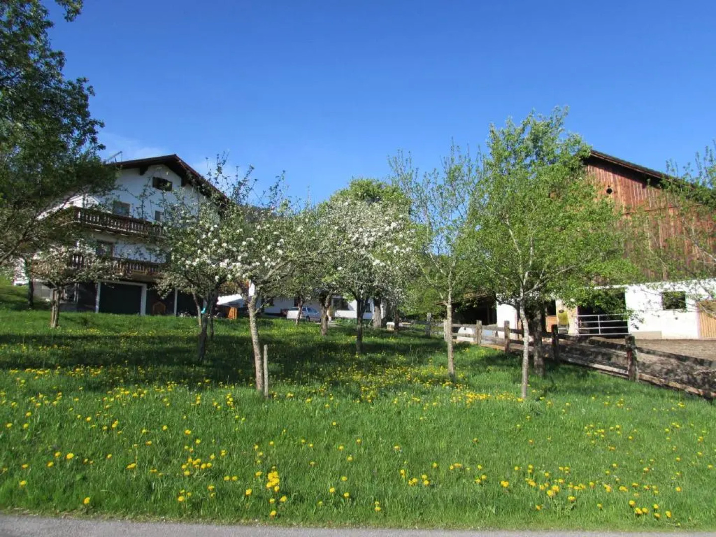 Ferienhof Breitenbaumer