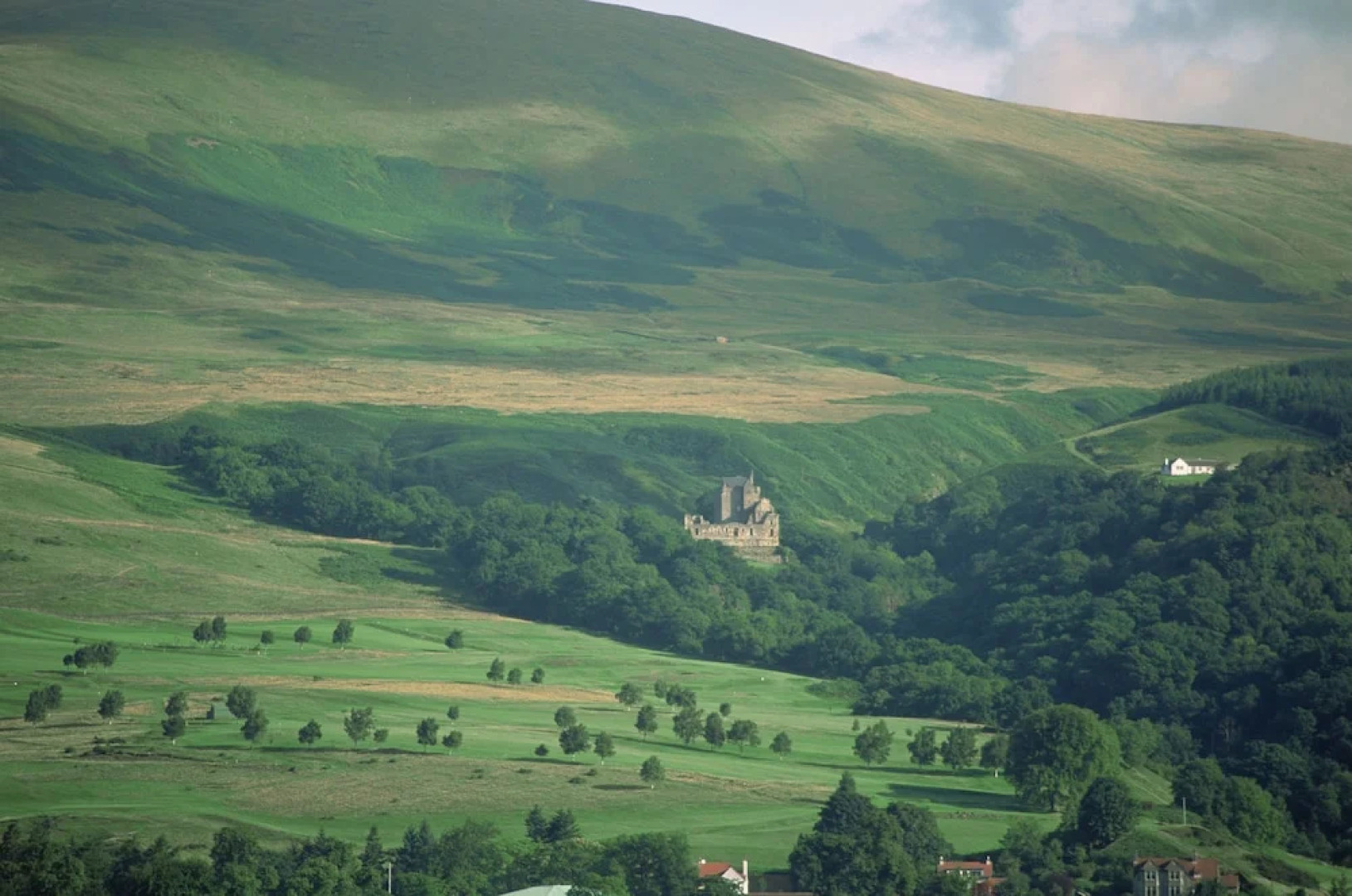 Dollar Apartments at 41