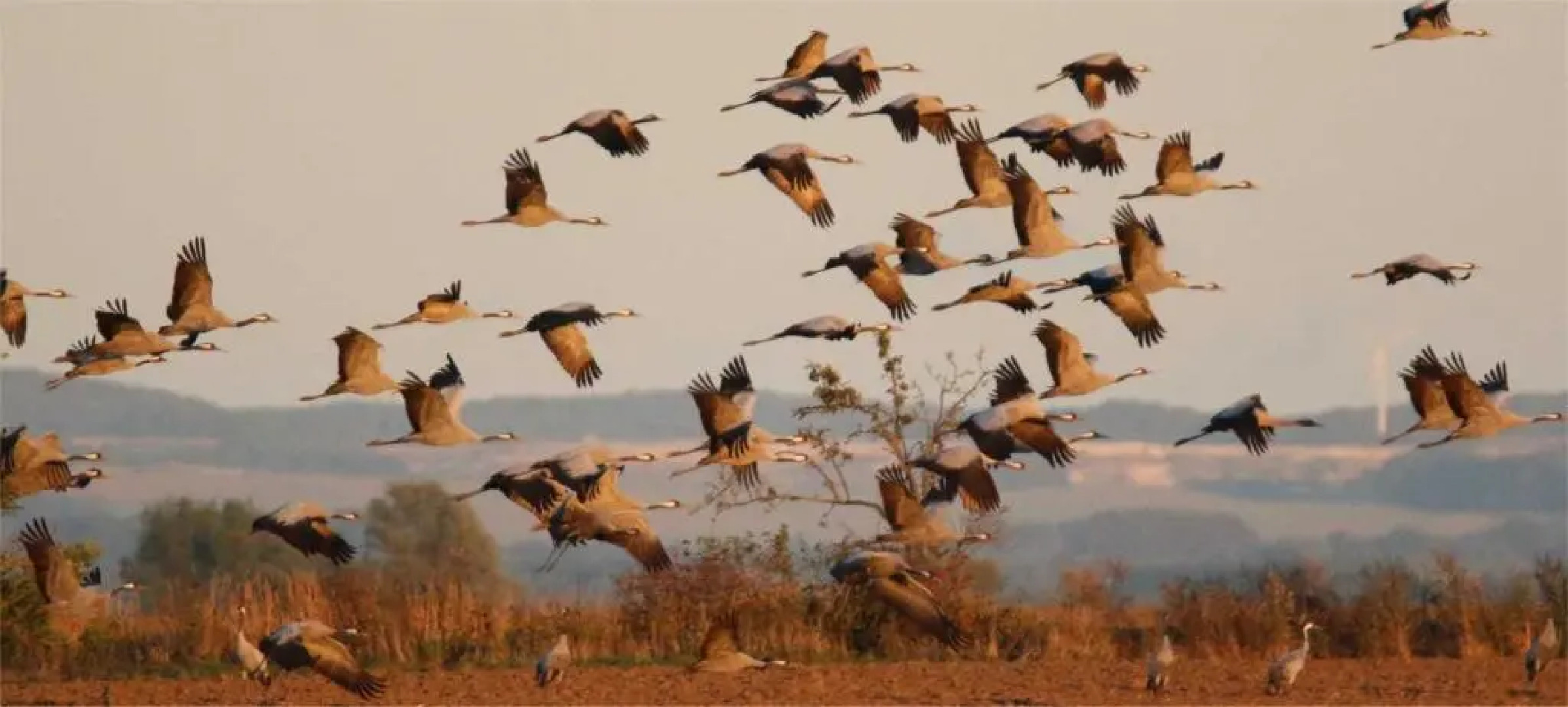 Reethaus Stoertebeker ca 100 m zum