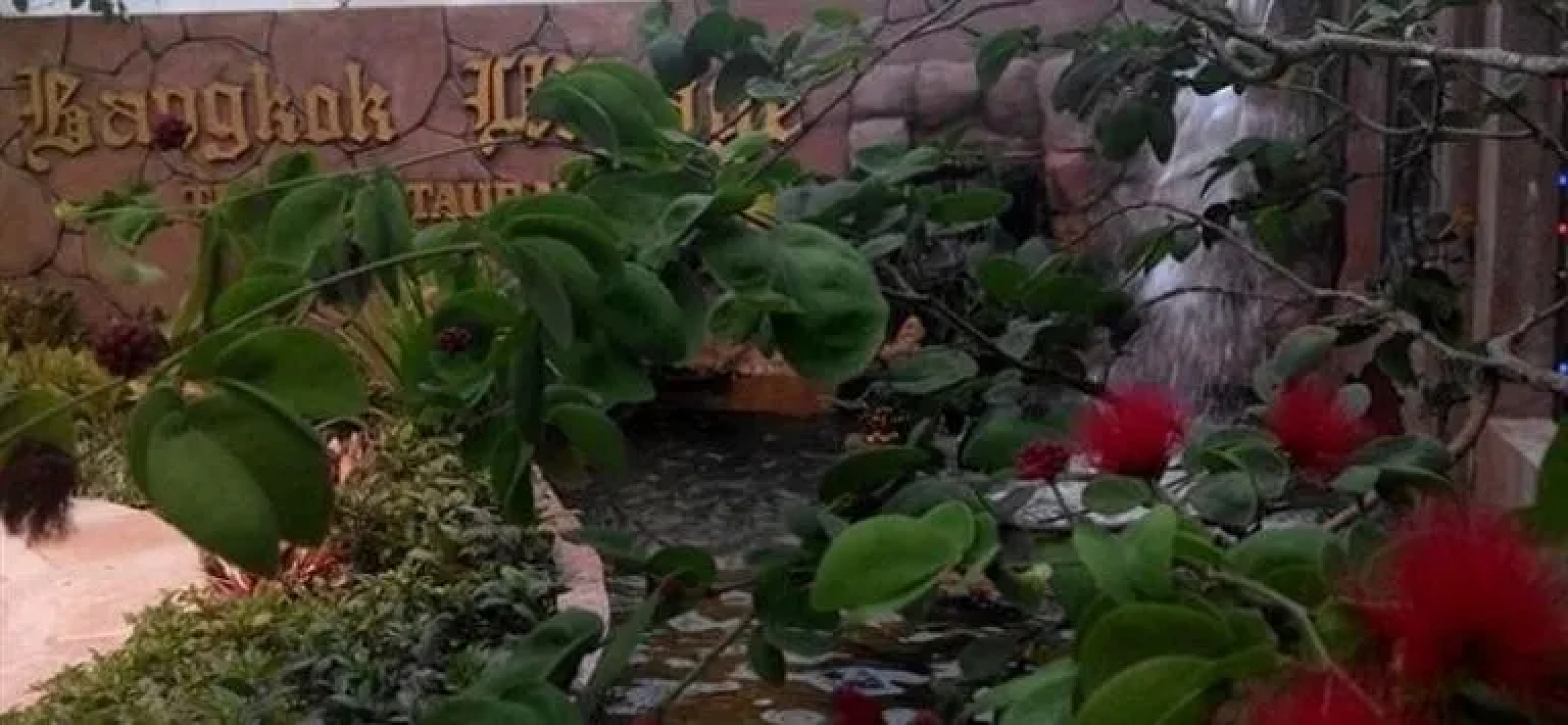 Container Gardenstay @ Bangkok Village