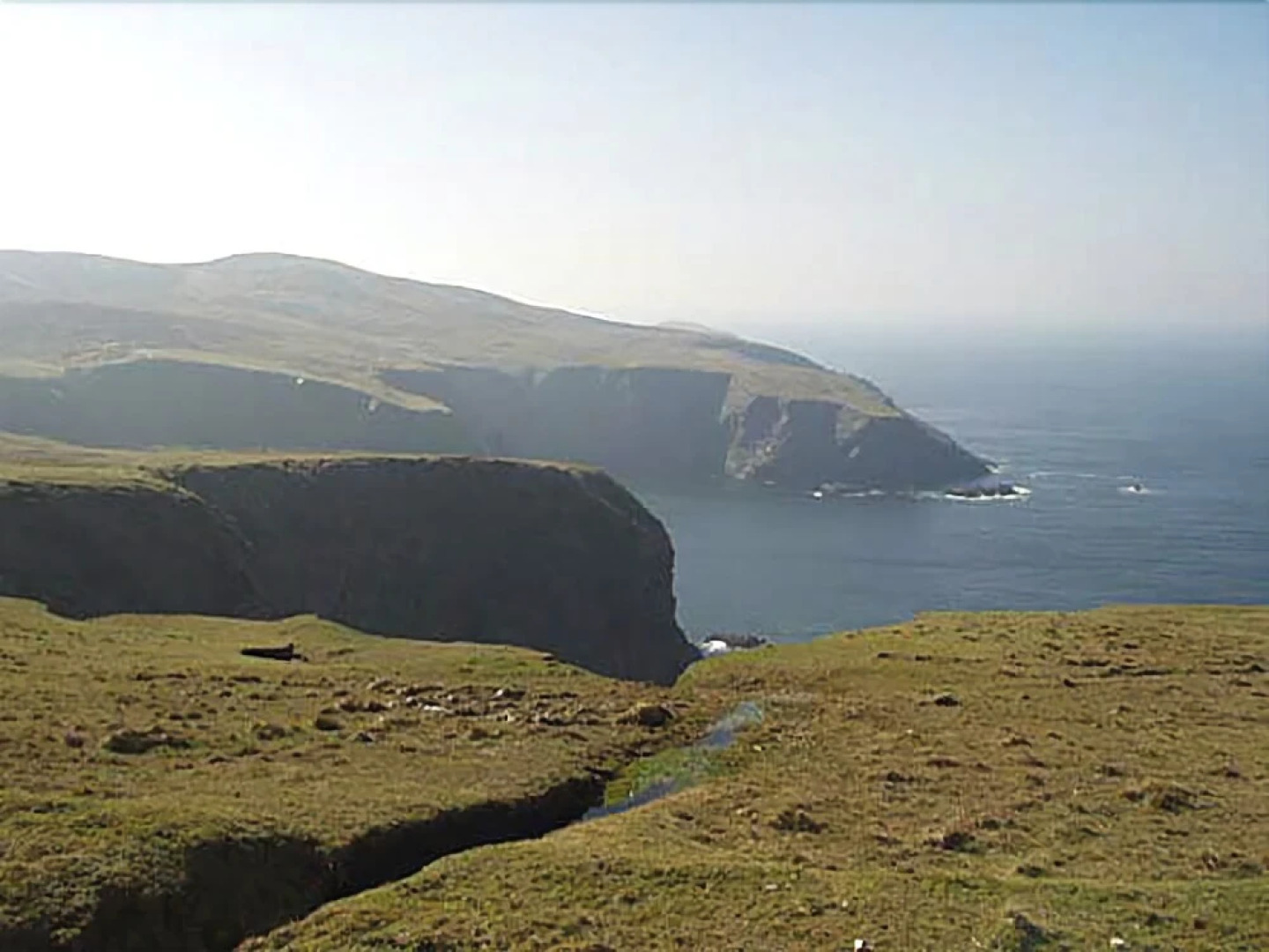 Willow Cottage Donegal B&B