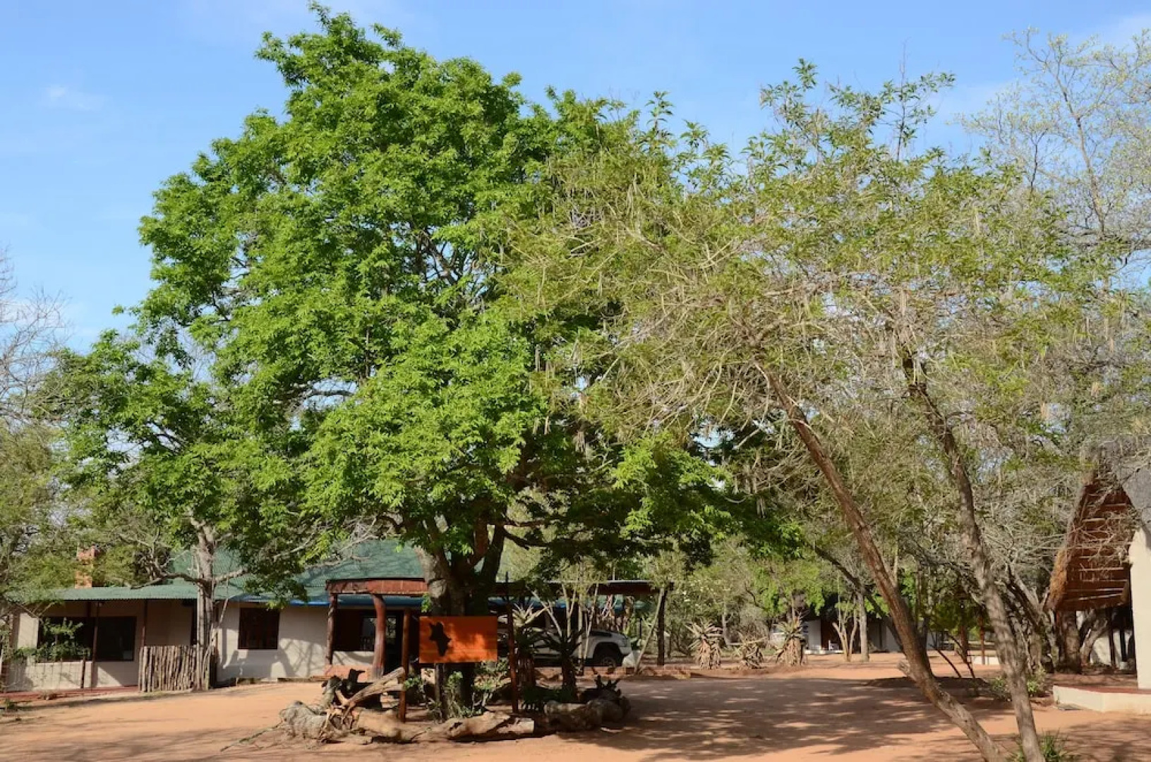 Wild Dogs Safari Lodge