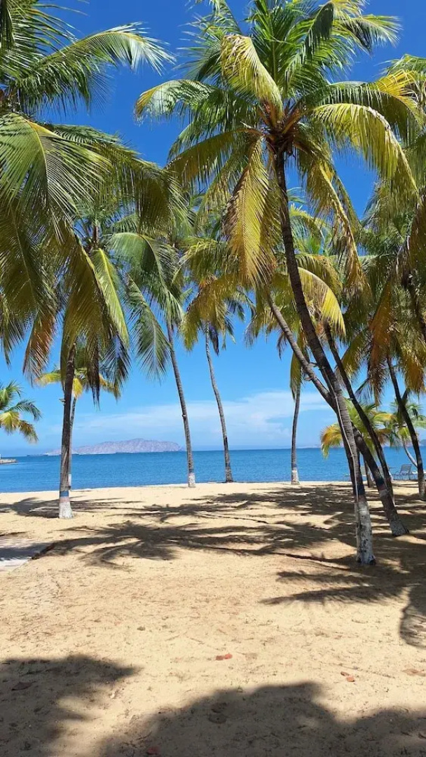 Hotel paradise Puerto la Cruz