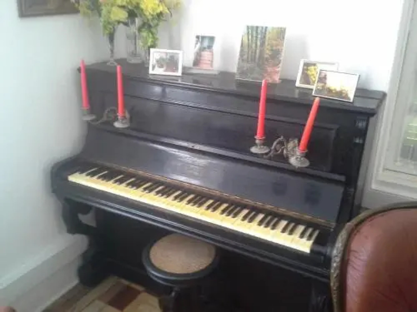 Casa do Jardim (Garden House)