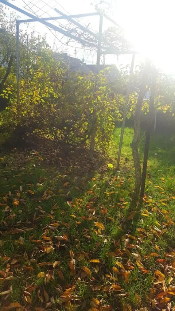 Apartment With 3 Bedrooms in Ramstein-miesenbach, With Enclosed Garden and Wifi