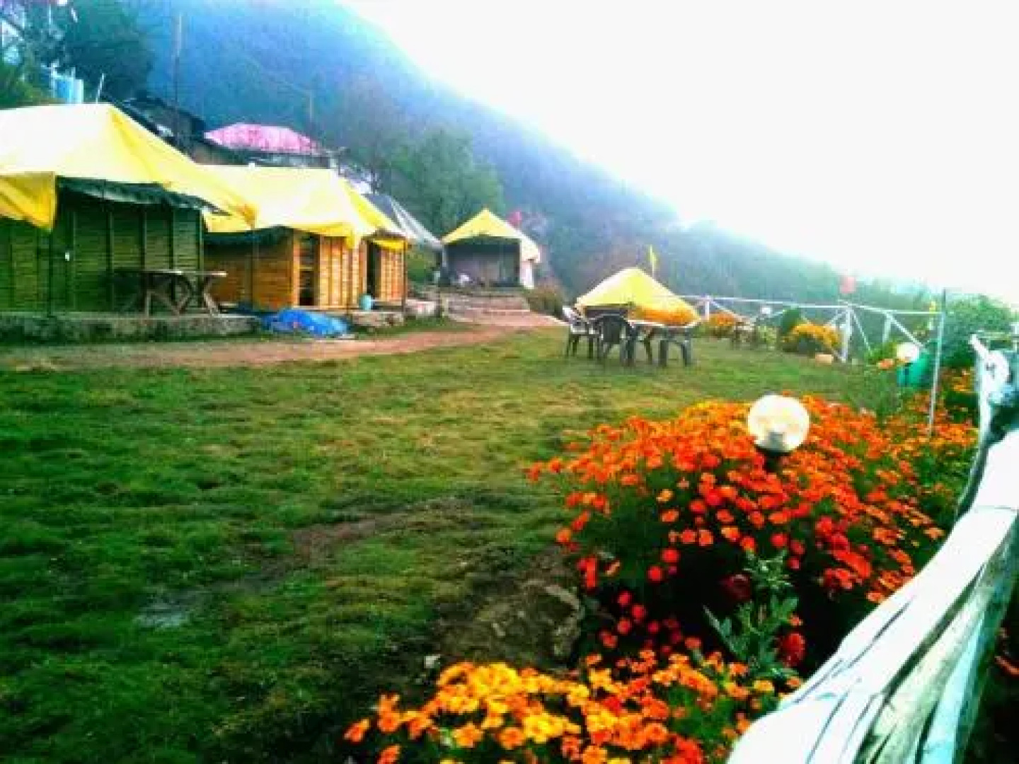 Dhanaulti  Wood Camp