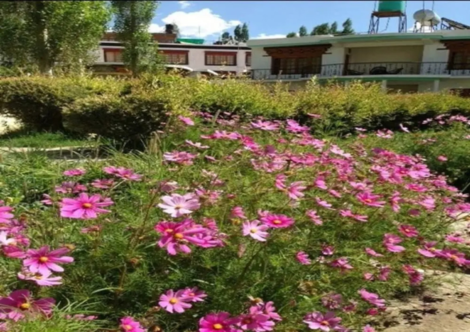 TIH Royal Heritage Resort