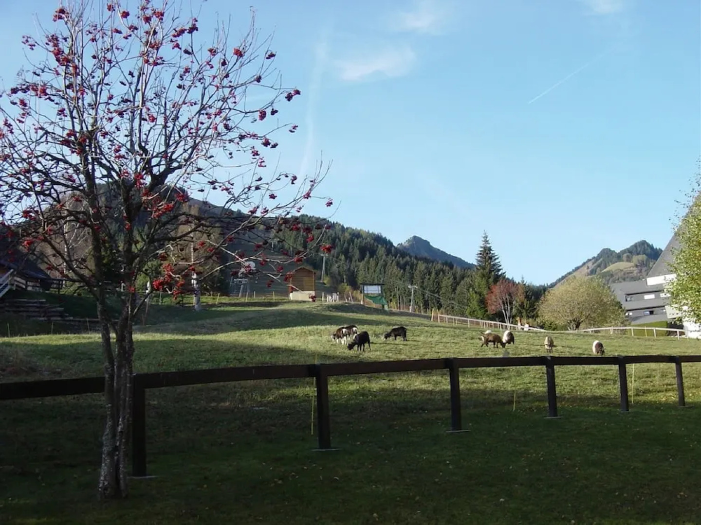 Apartment With one Bedroom in Torgon, With Wonderful Mountain View and