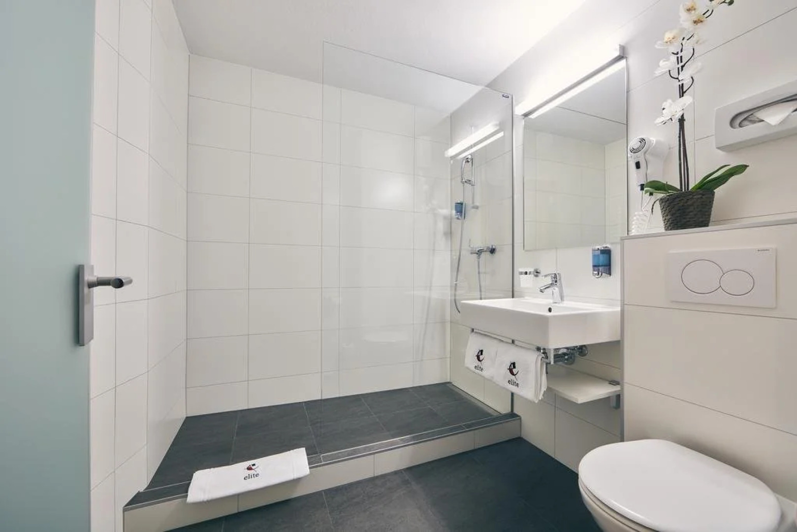 Hotel Restaurant Elite Visp