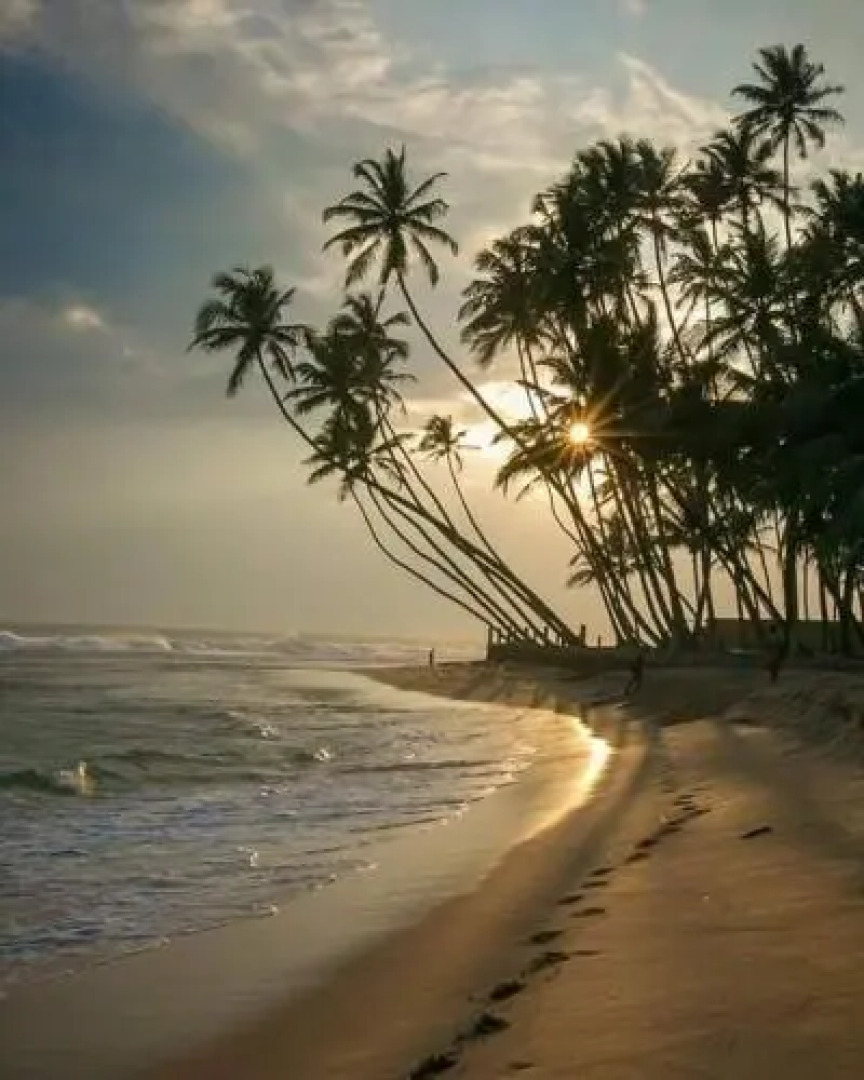 Jungle View apartment