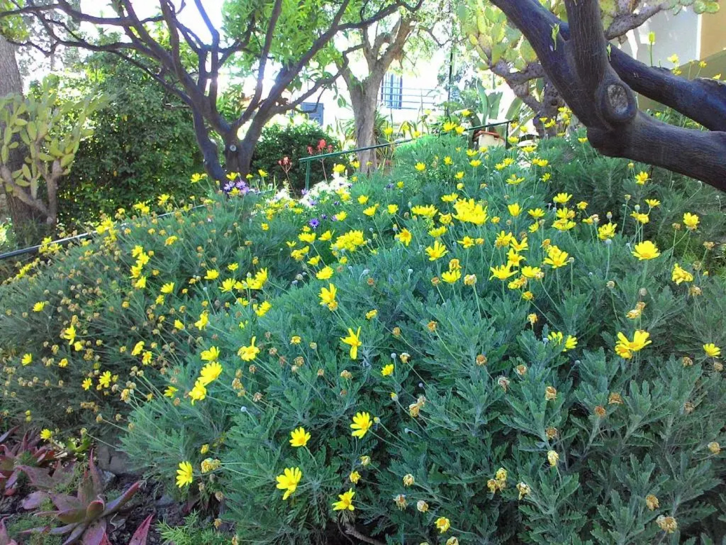 Residence La Carruba