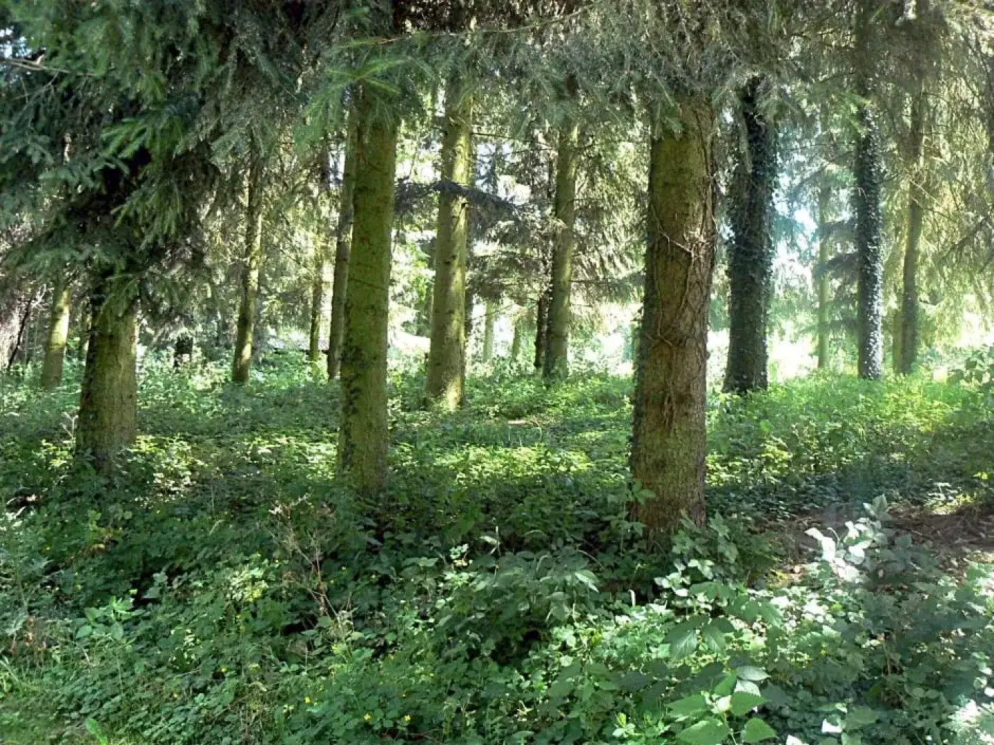 Chambre d'hôtes du Moulin de Landonvillers
