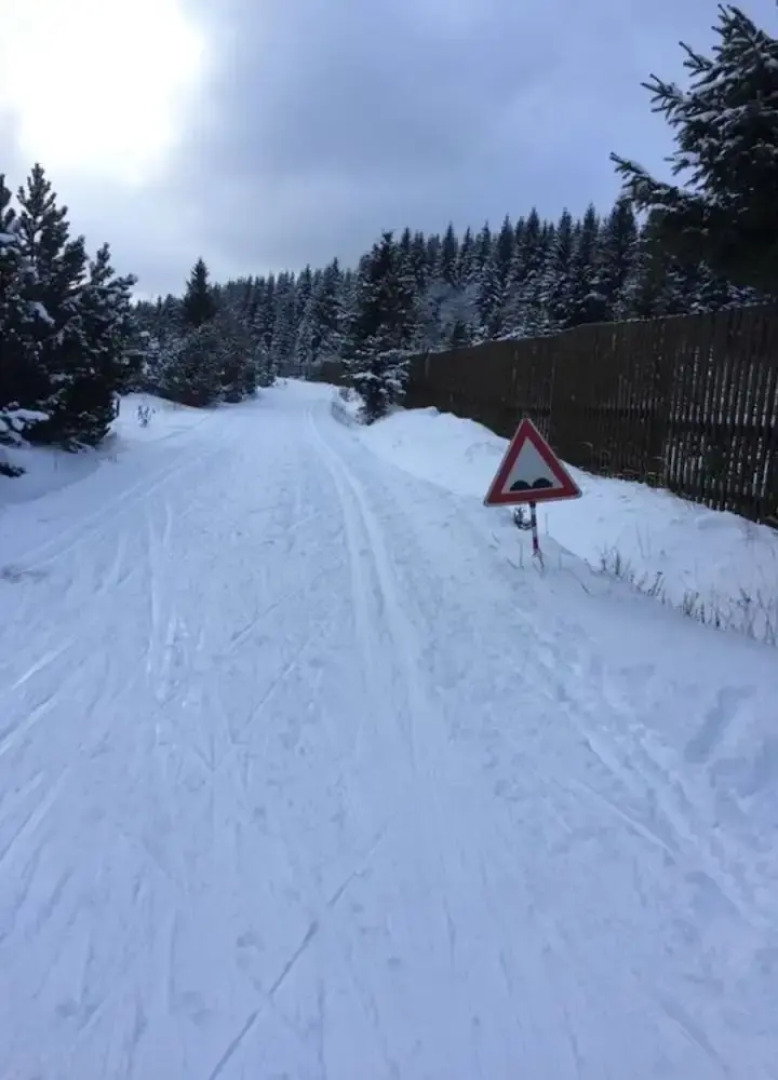 Yellow House Modern Retreat