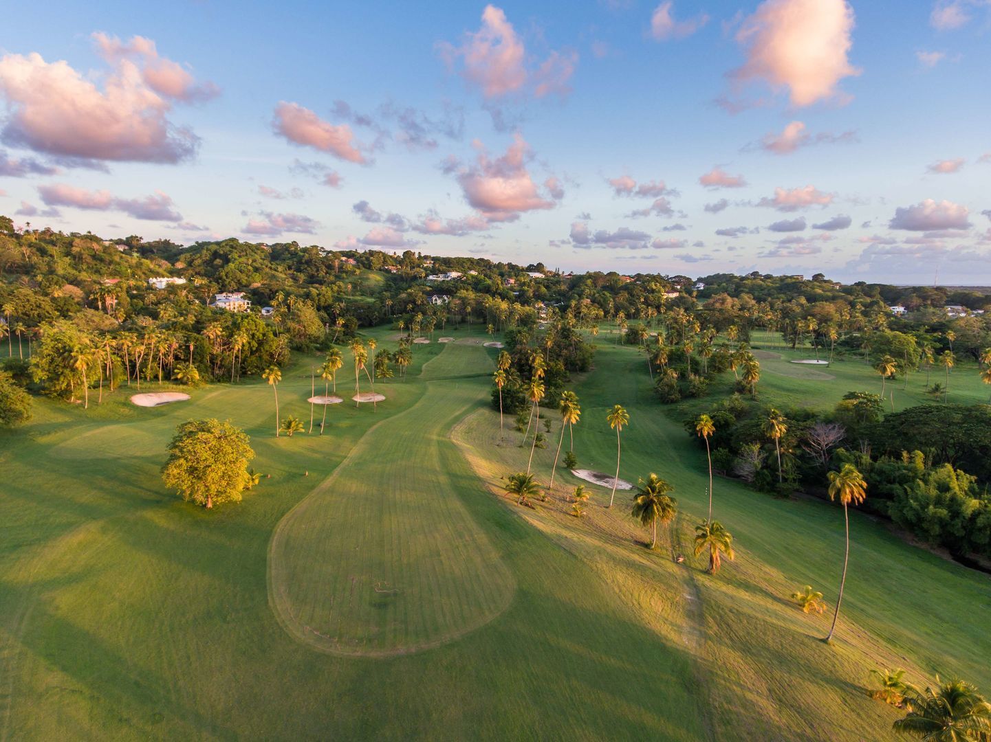 Mount Irvine Bay Resort