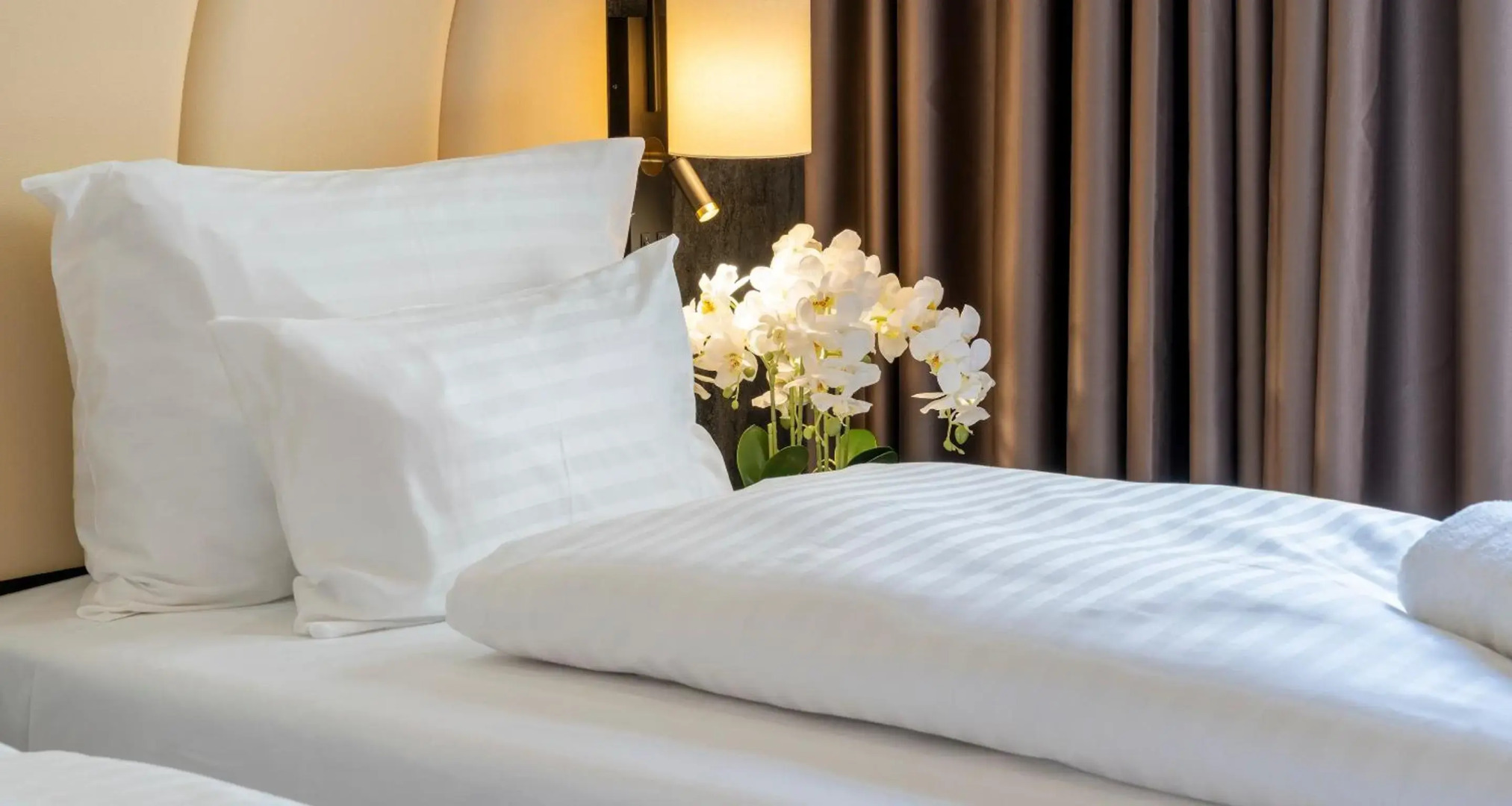 PLAZA INN Wiener Neustadt, BW Signature Collection