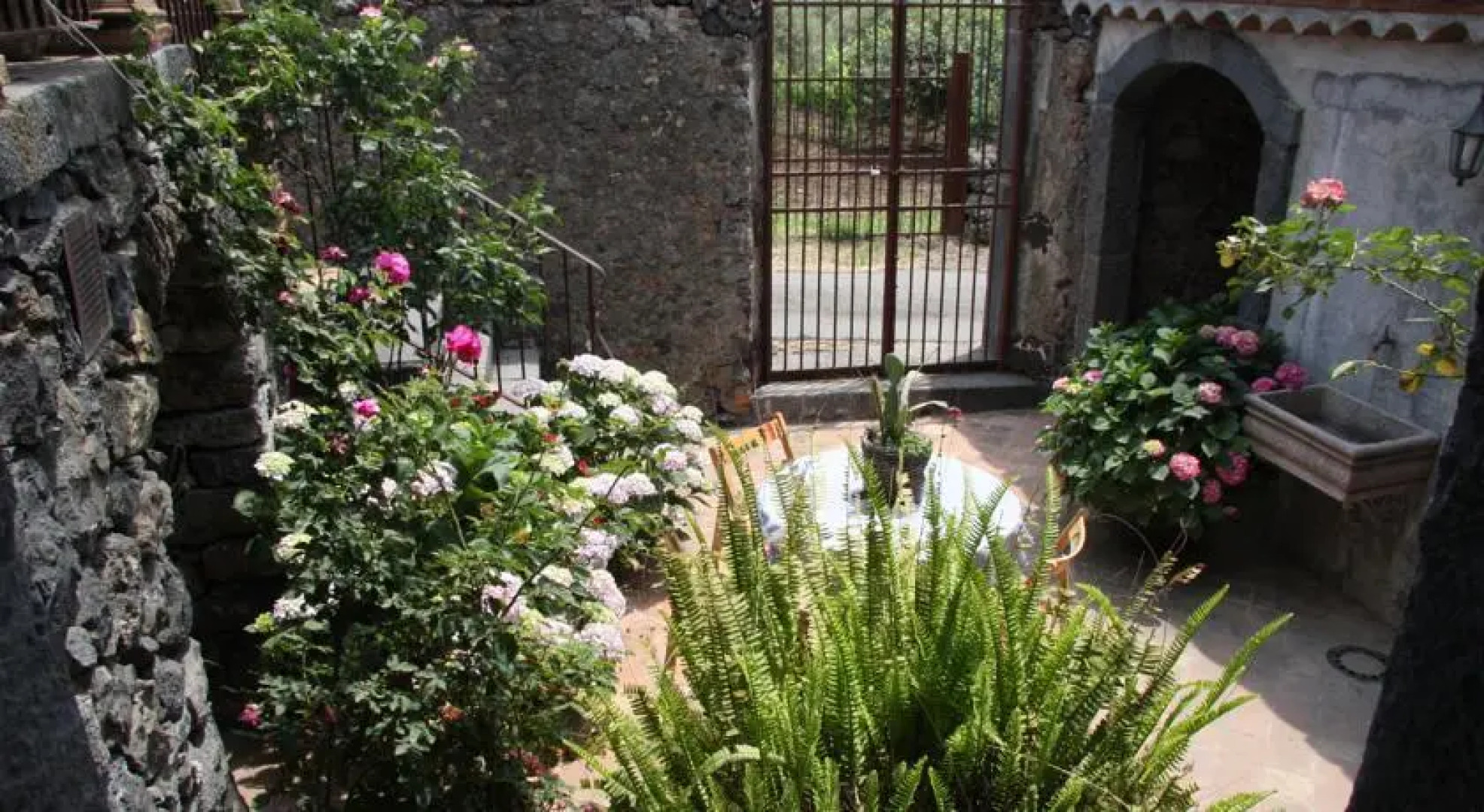 Red Etna-Taormina: The Land of Wine