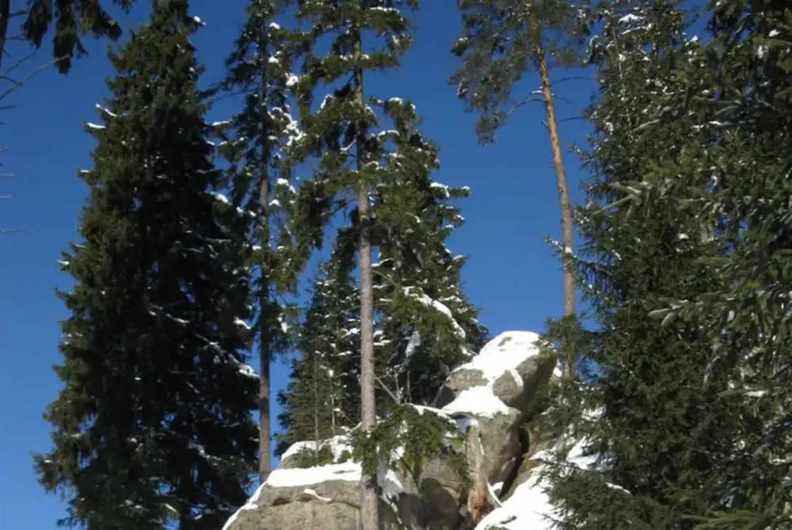 Apartment in Eibenstock