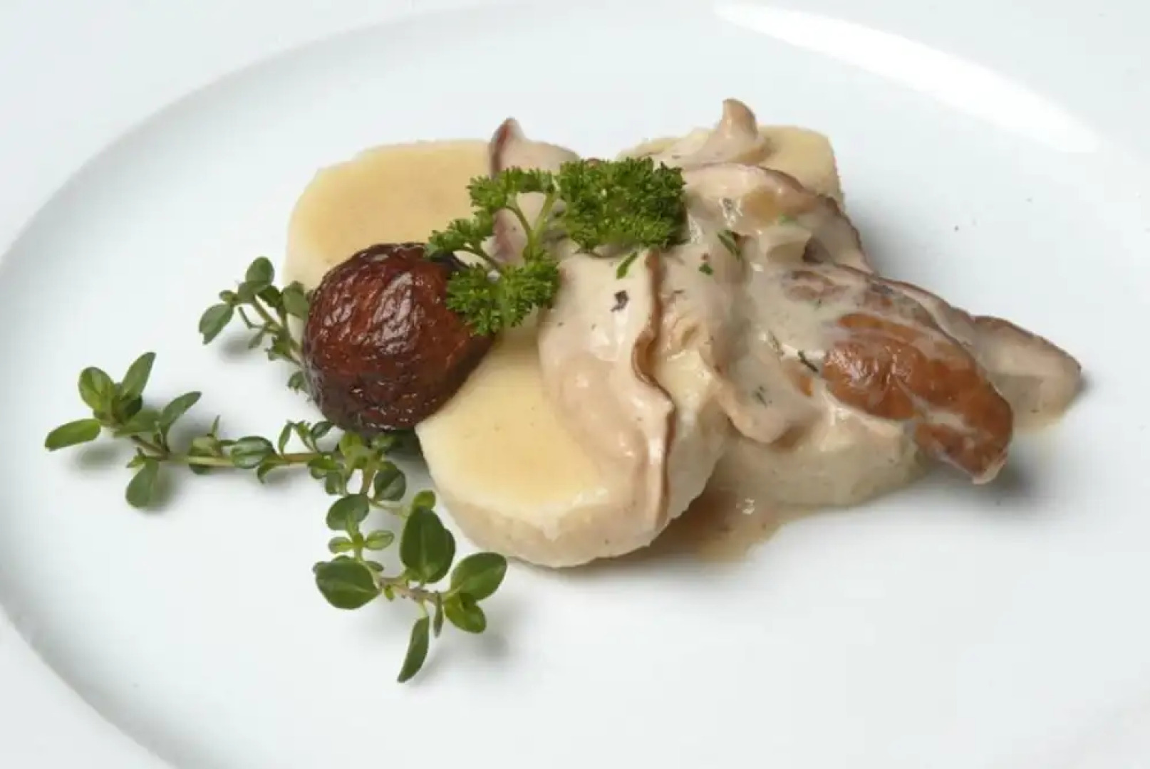 Mokrice Castle Estate