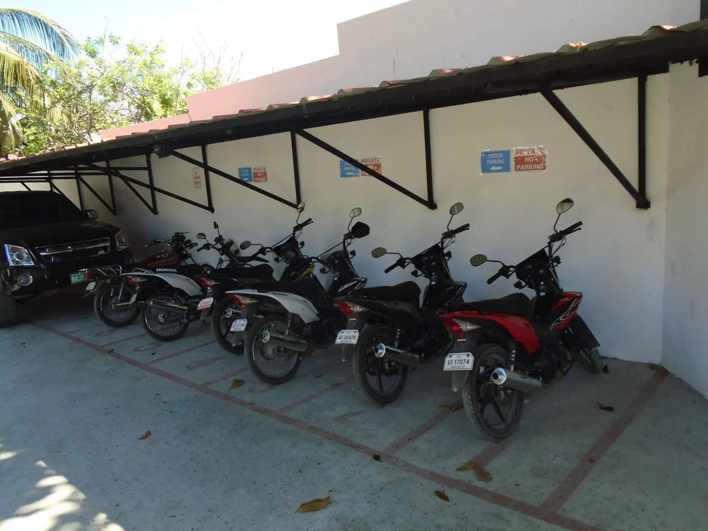 Parrot Resort Moalboal