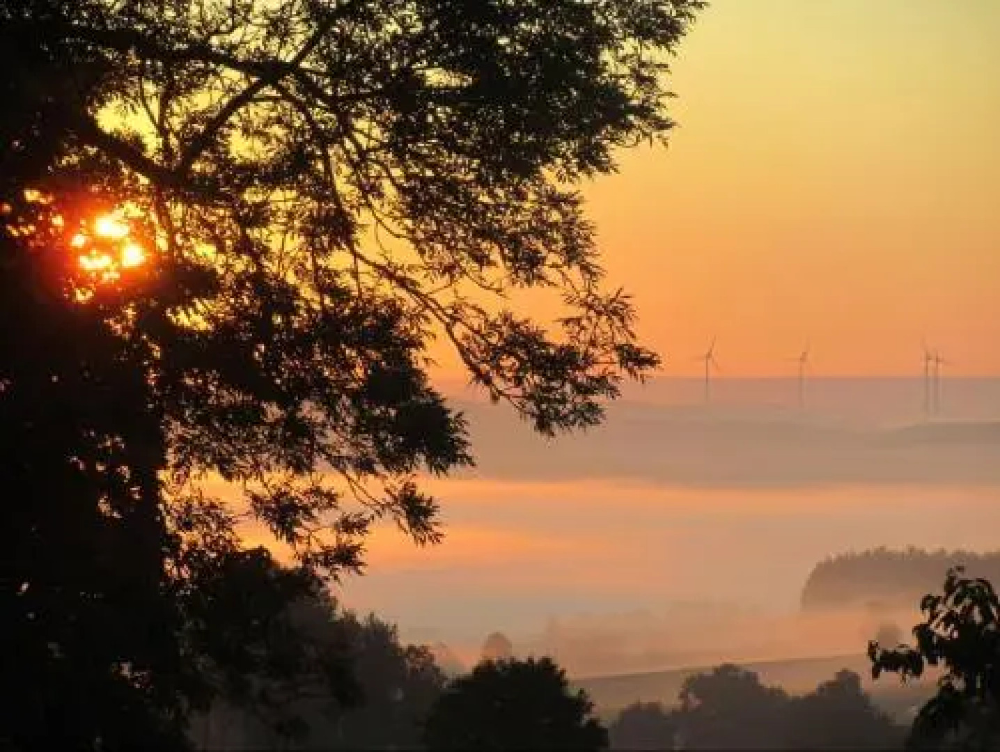 Bio Ferienhof Erzengel