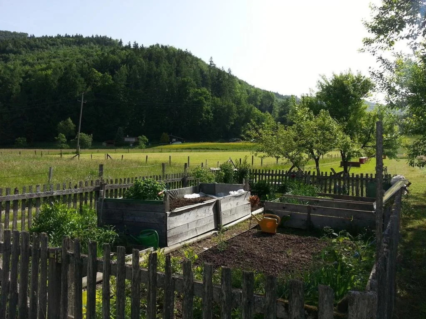 Ferienwohnungen Bachbauer