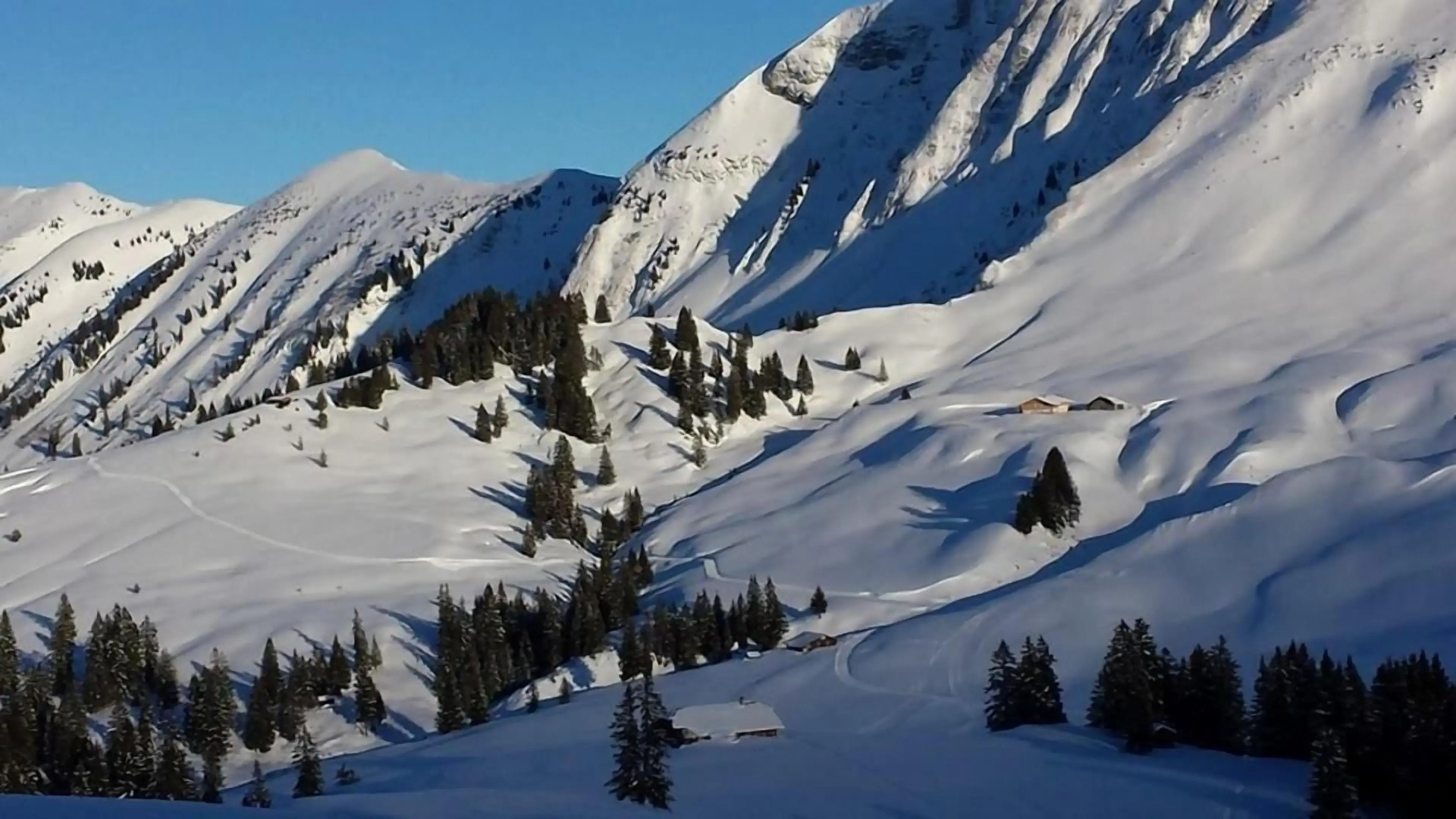 The Aarburg Hotel & Café