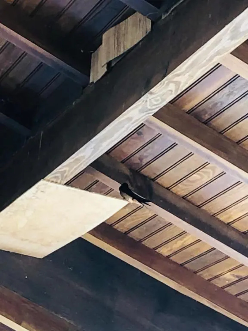 Hôtel Transaquitain