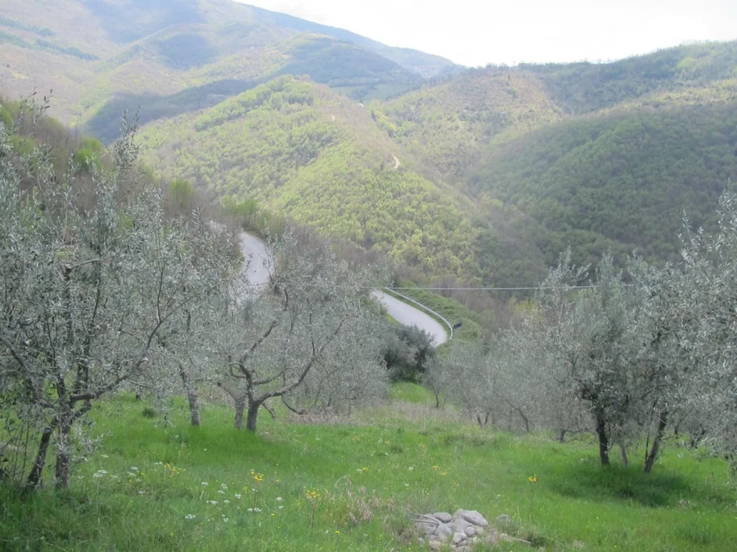 RSH Luxury Casale Sabina Valley