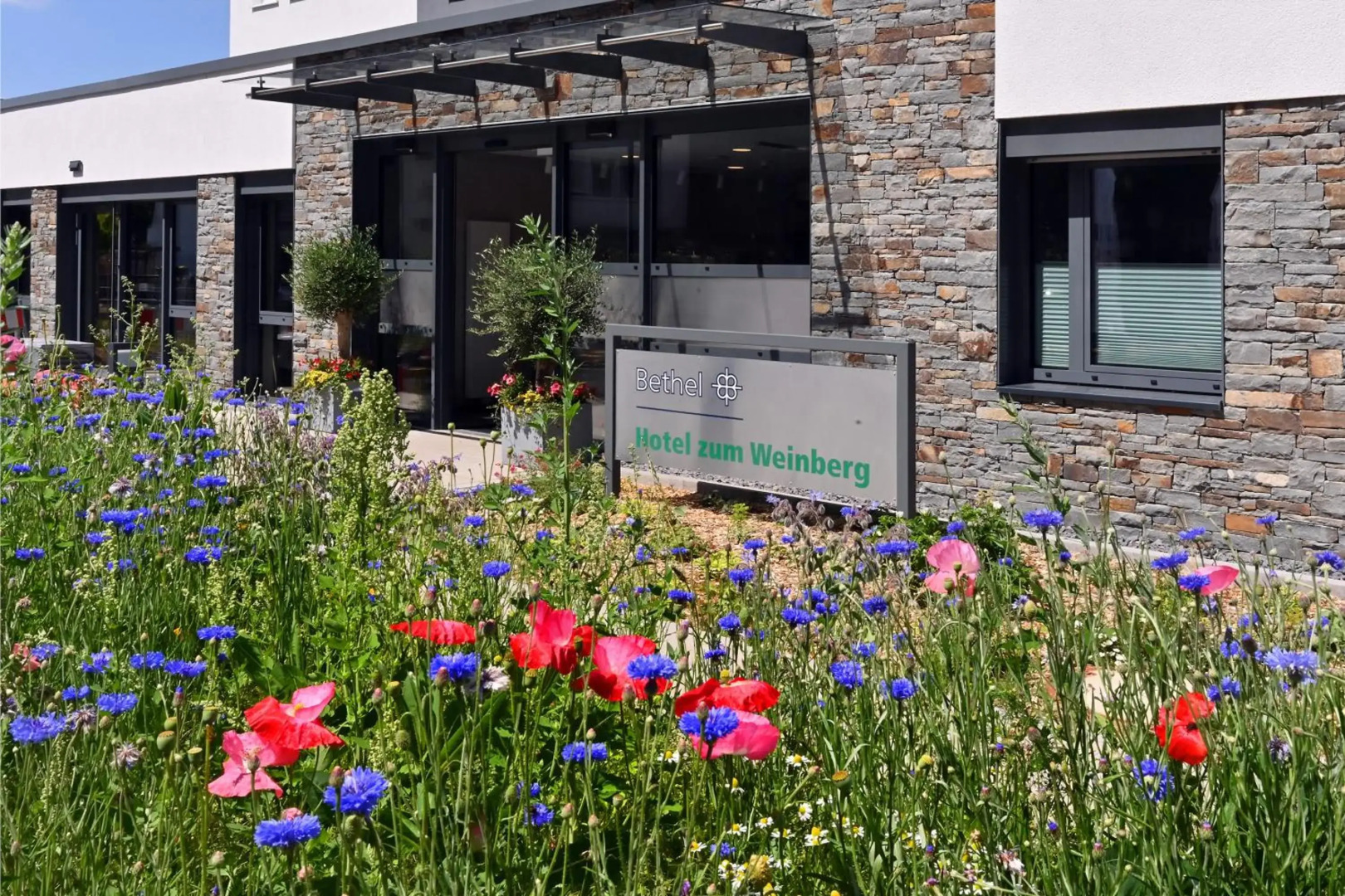 Bethel Hotel Zum Weinberg