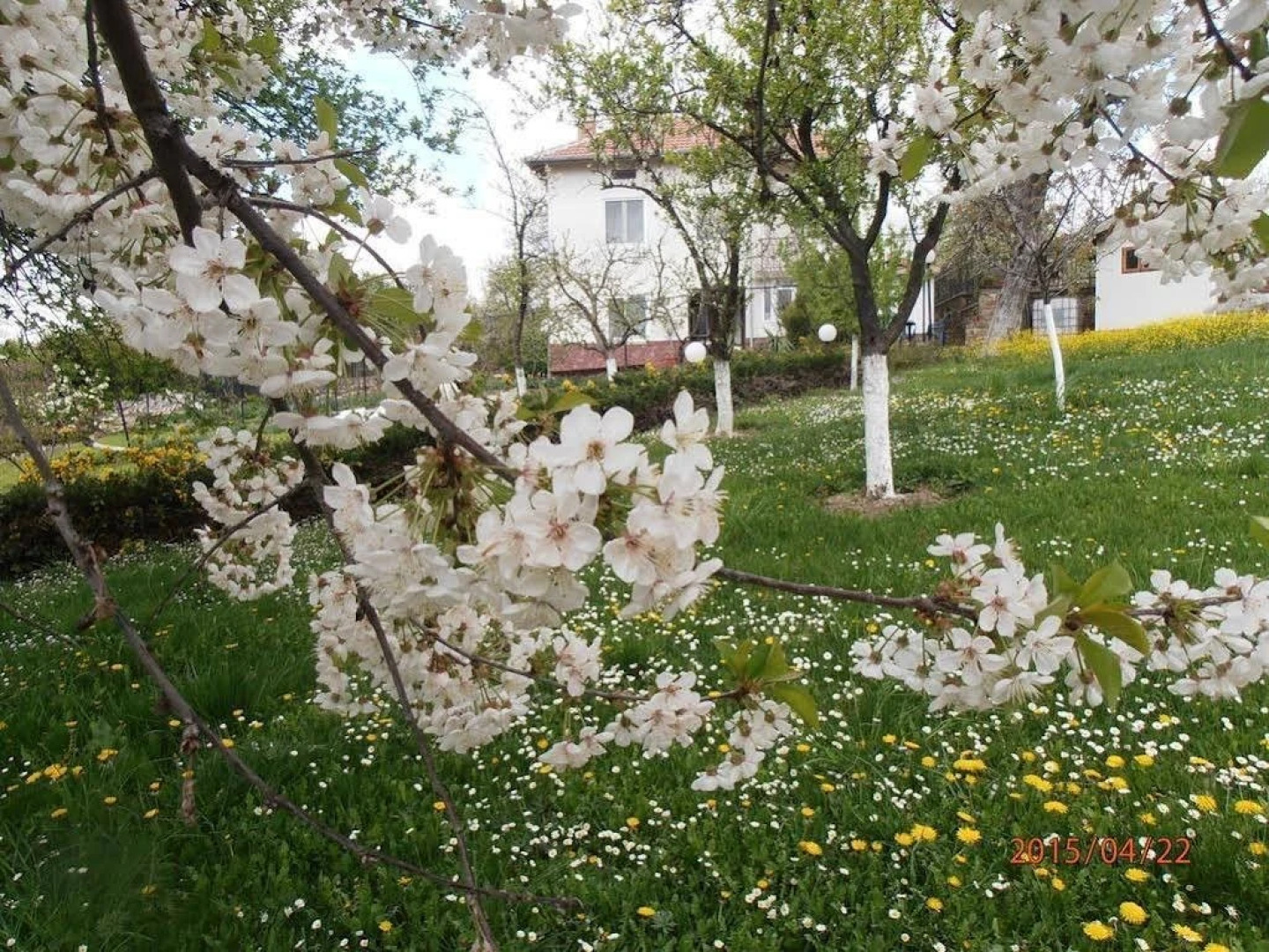 Venikula Guest House