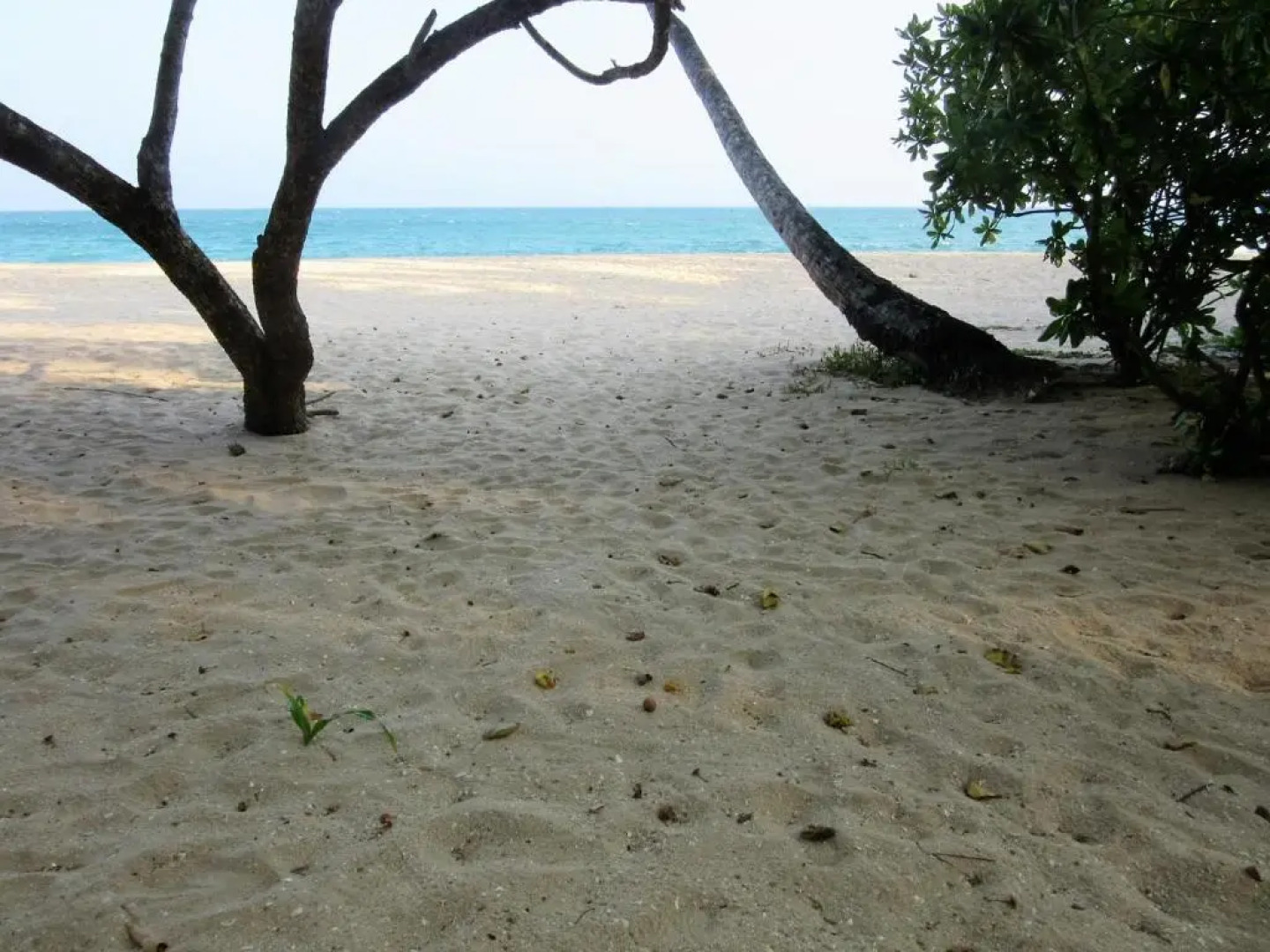 Sanderling Silent Beach Cabanas