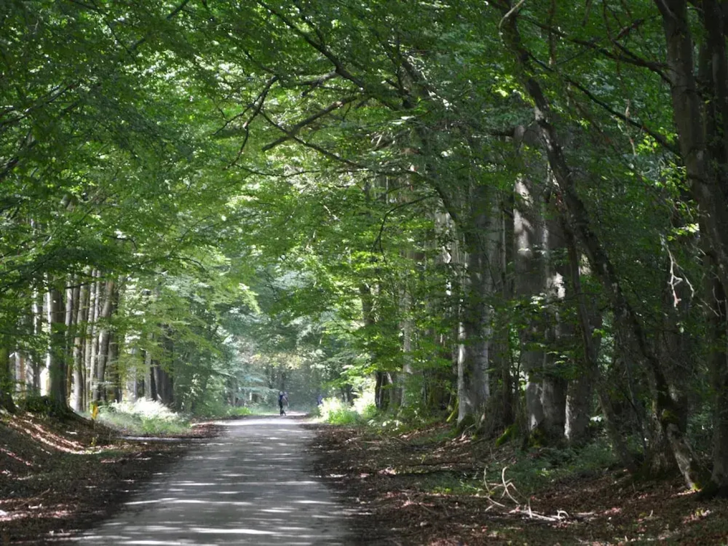 Wonderful Loft near Bastogne in Castle of Xviith History