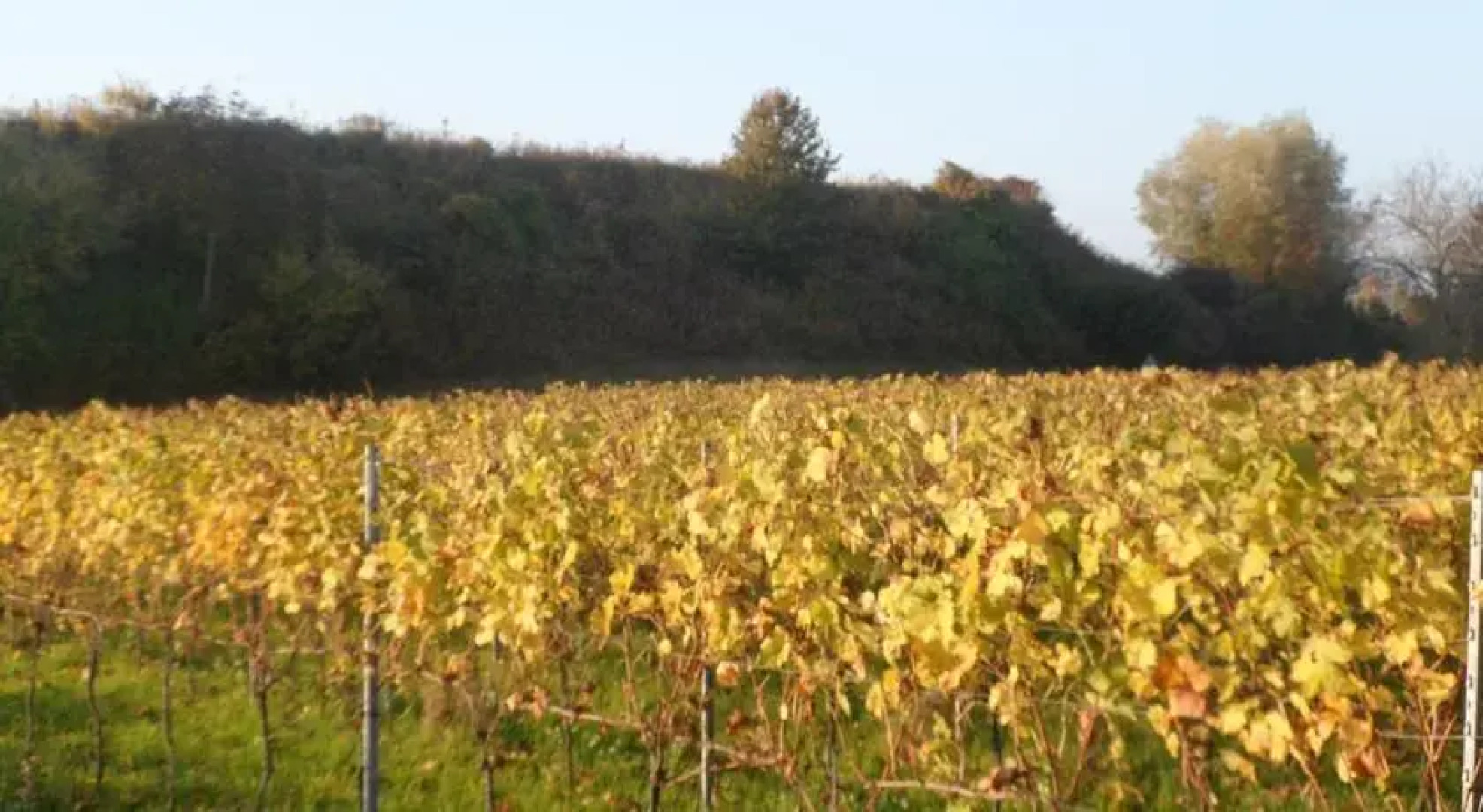 Riegers Ferienwohnung