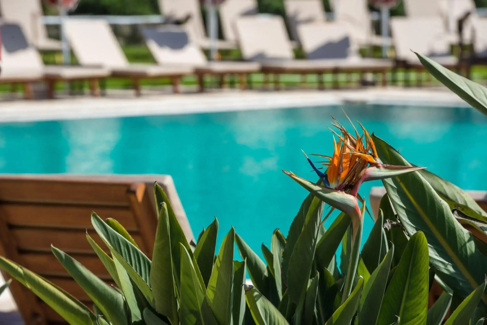 Bitzaro Grande Hotel - All Inclusive