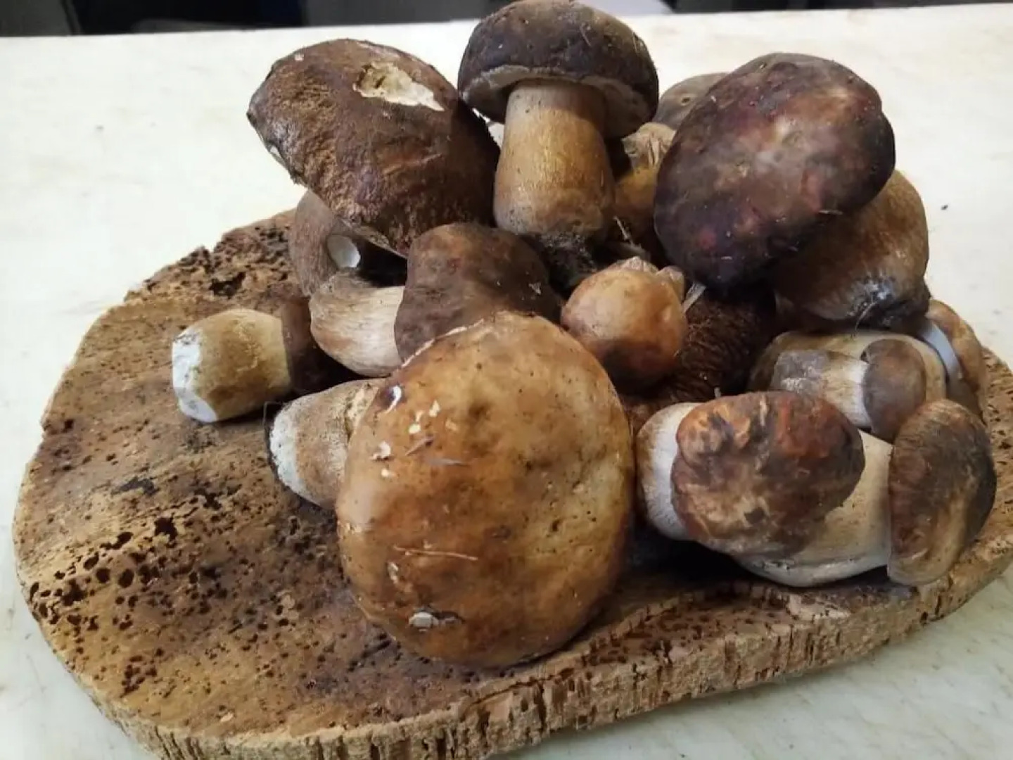 Albergo Ristorante Stella