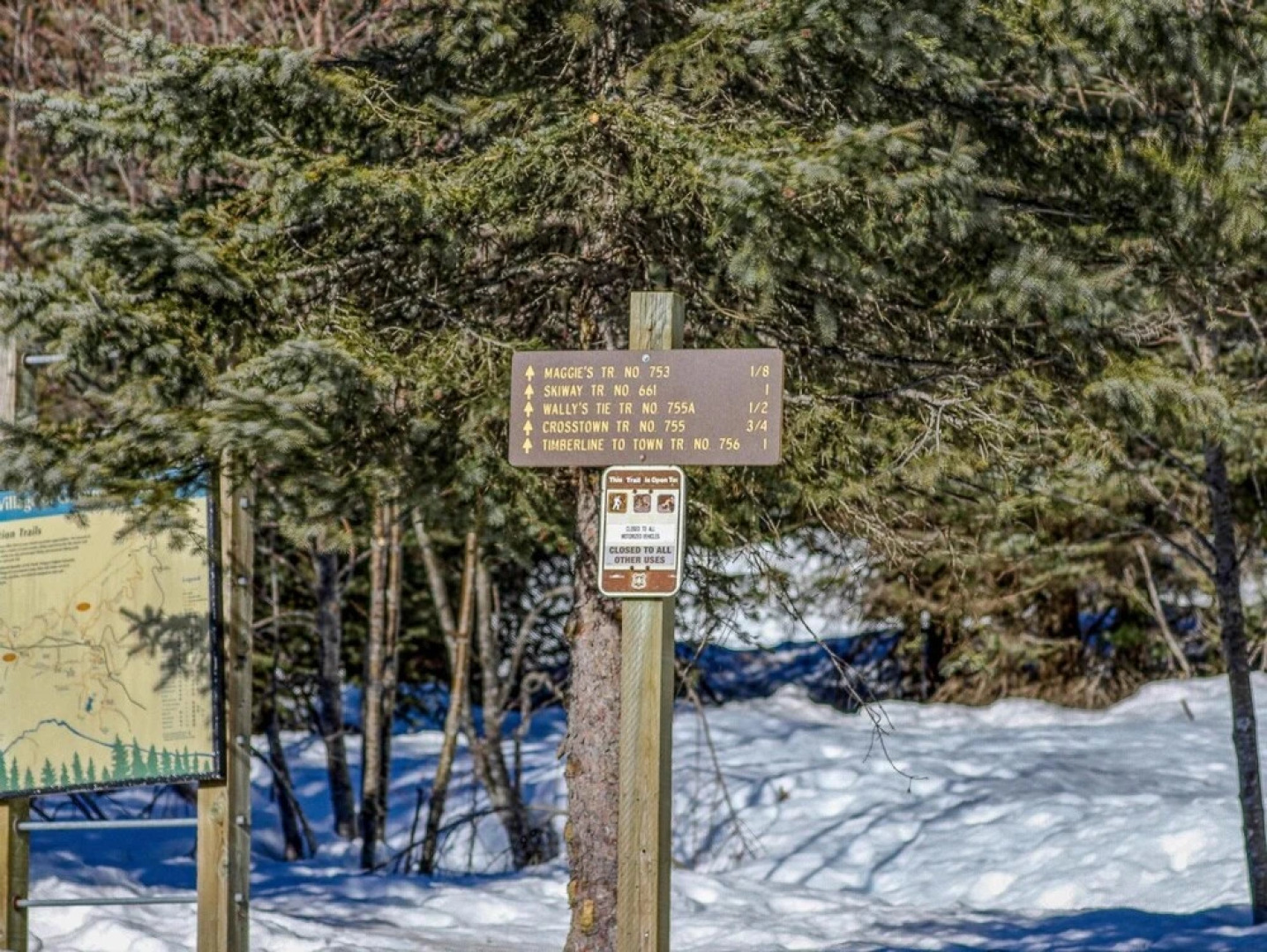 Thunderhead Lodge #301