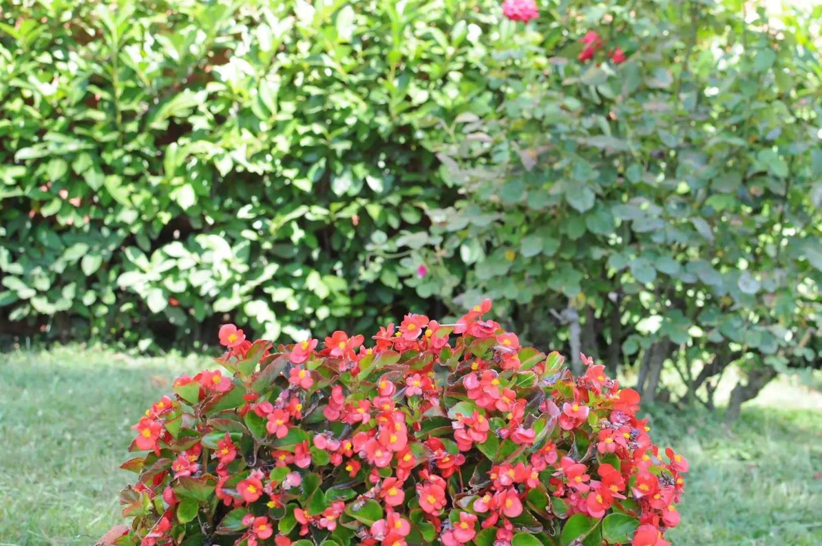 Marinetta Bed & Breakfast