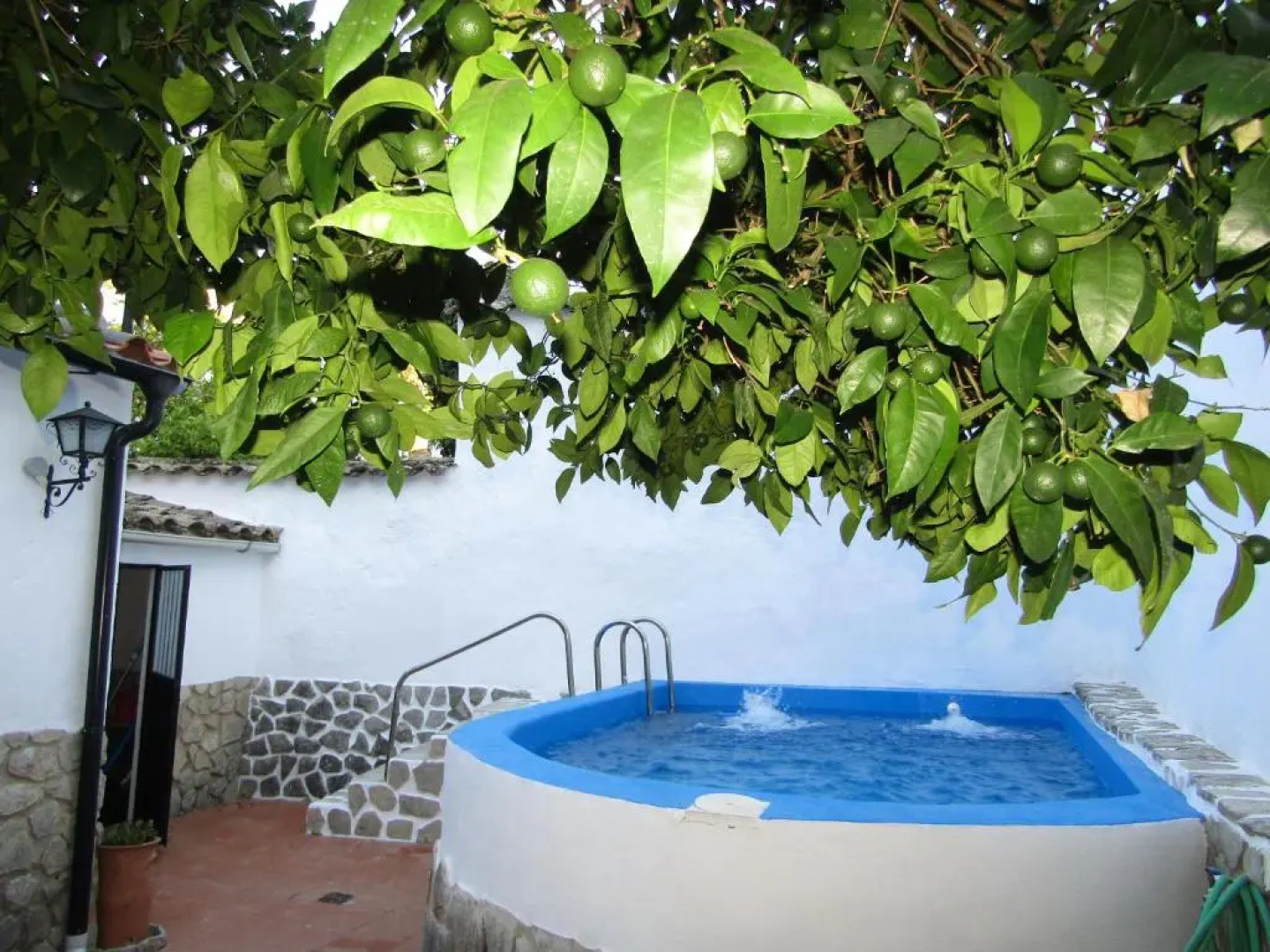 La Casa 5