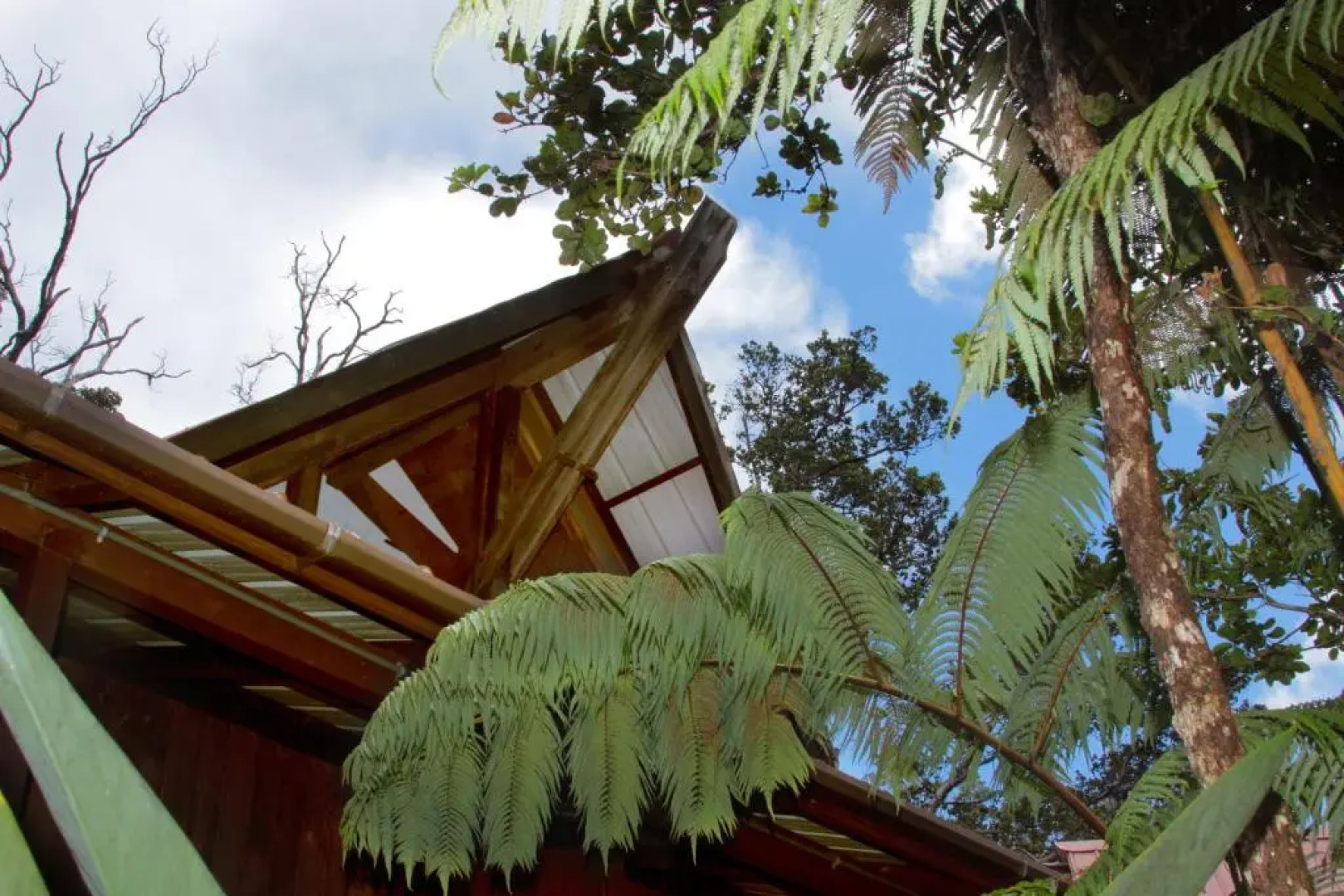 Lotus Garden Cottages