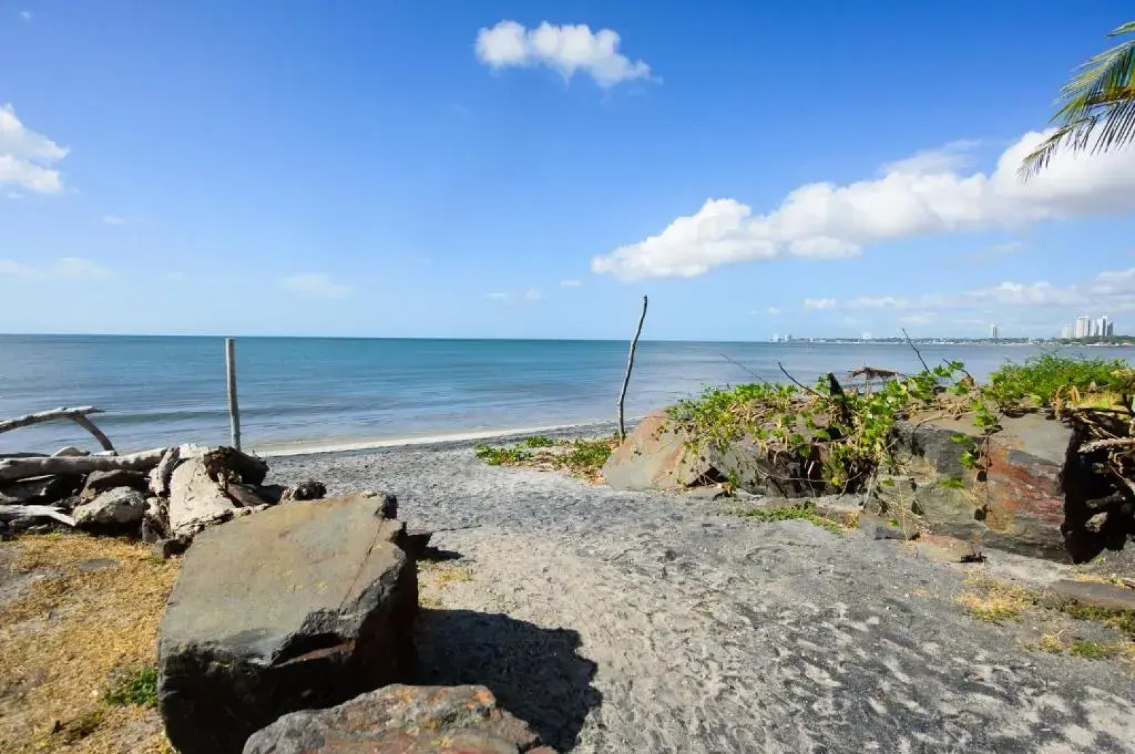 Aparthotel Pelican's Surf Club