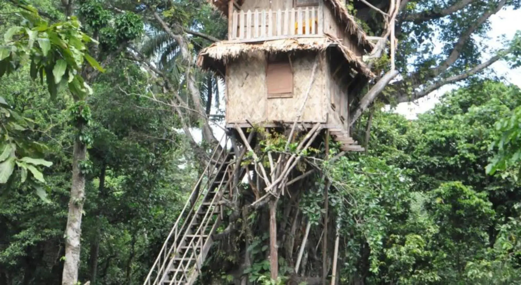 Tanna Lava View Bungalows