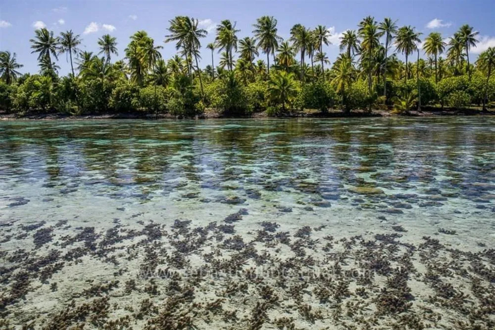 Pension Au Phil du Temps