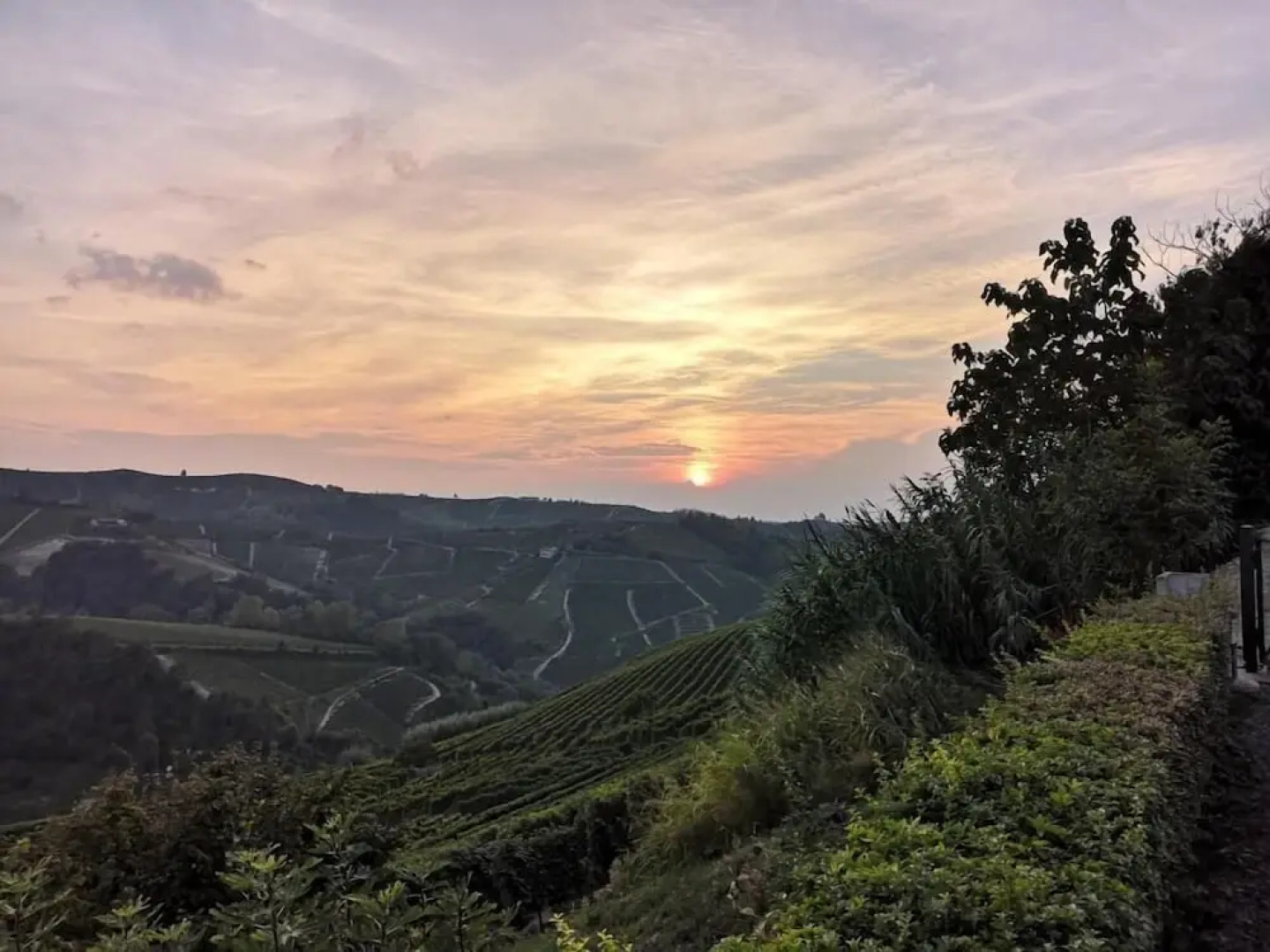 Agriturismo il Ciliegio